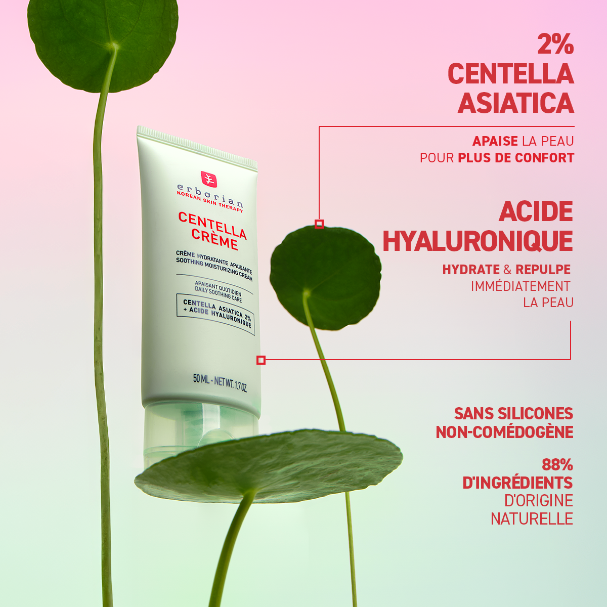 ERBORIAN CENTELLA CREME 50ML
