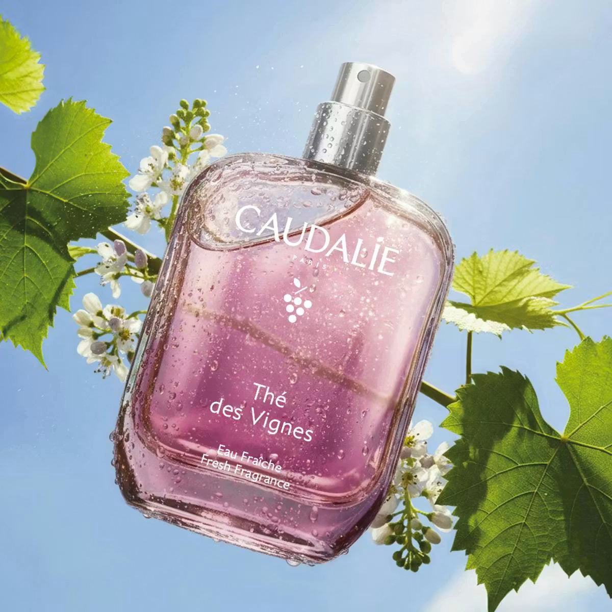 CAUDALIE EAU FRAICHE THE DES VIGNES 100ML