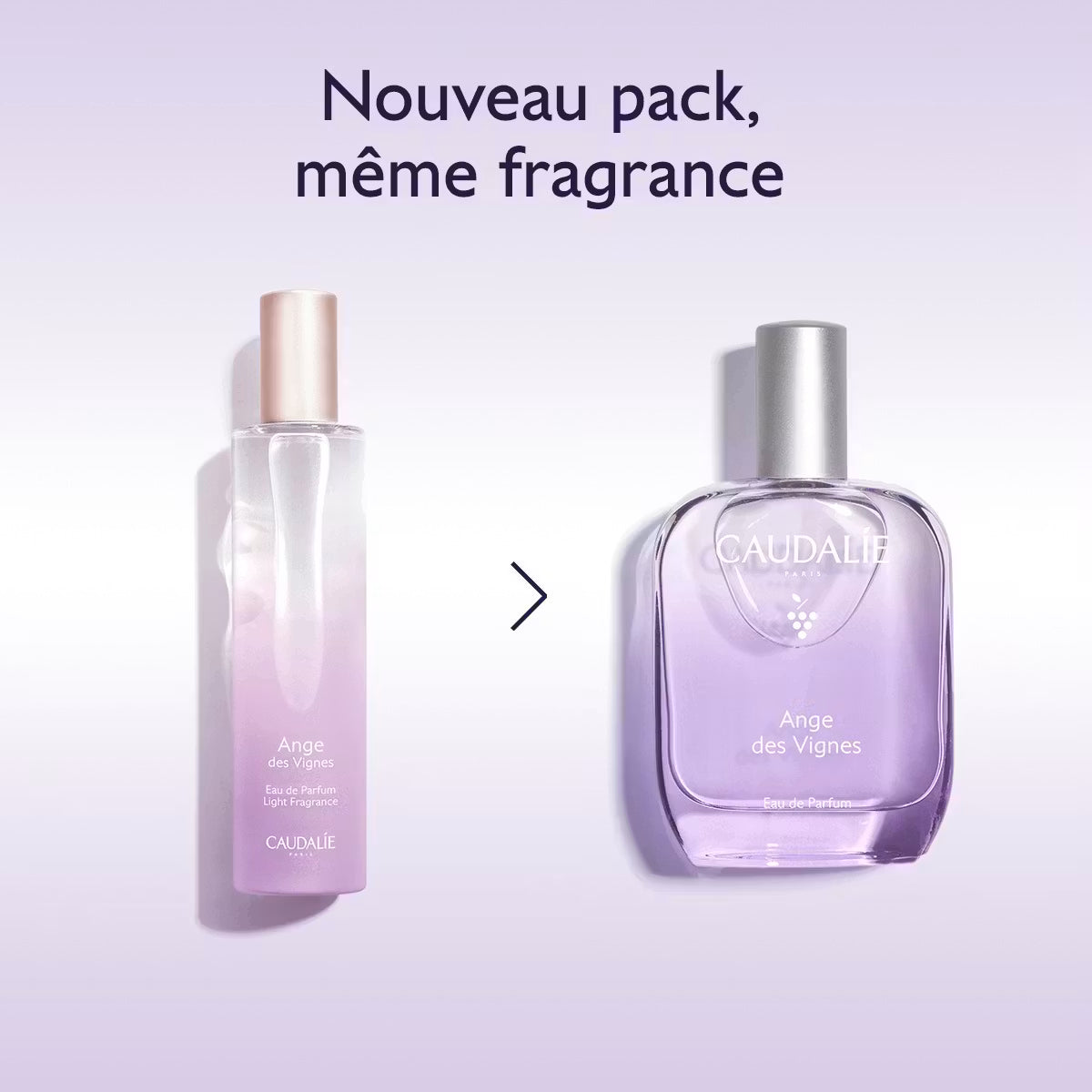 CAUDALIE EAU DE PARFUM ANGE DES VIGNES 50ML