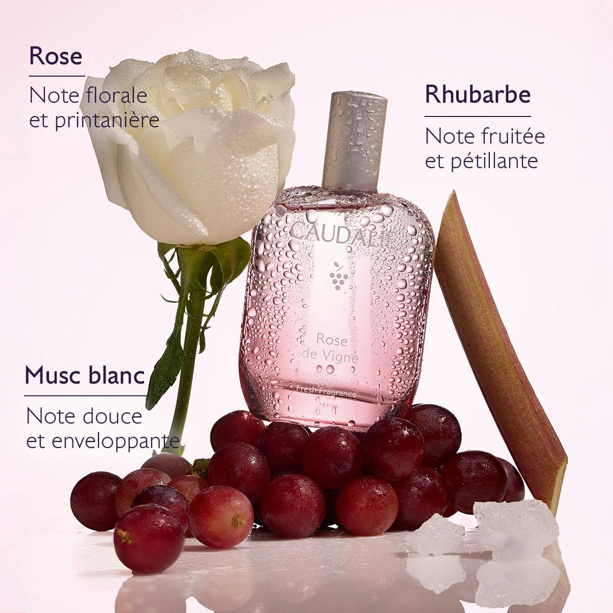 CAUDALIE COFFRET EAU FRAICHE ROSE DE VIGNE
