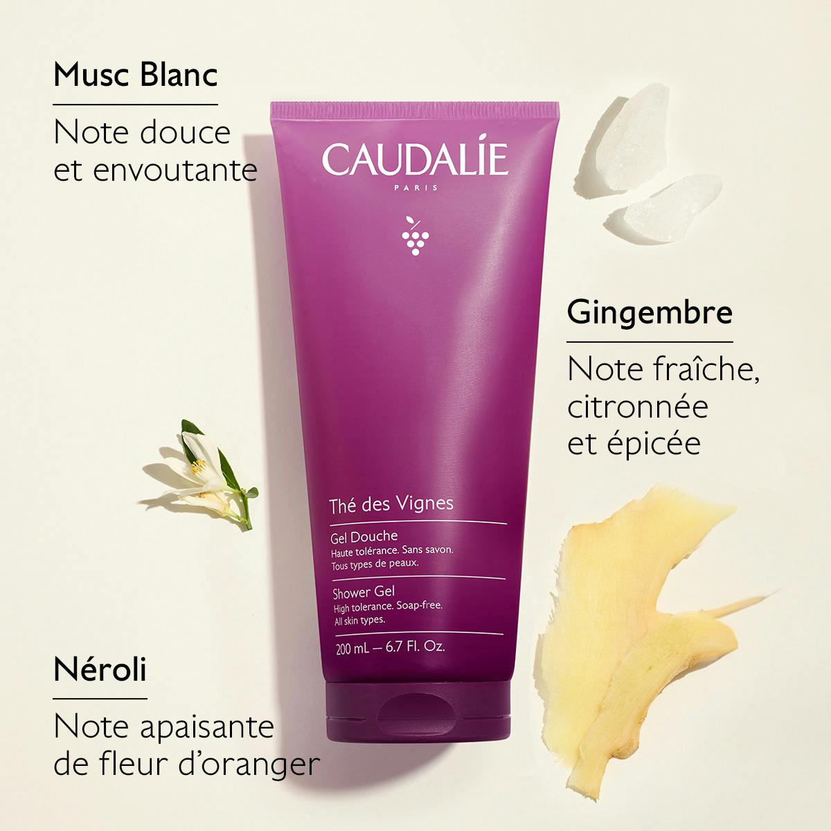 CAUDALIE COFFRET RITUEL CORPS THE DES VIGNES