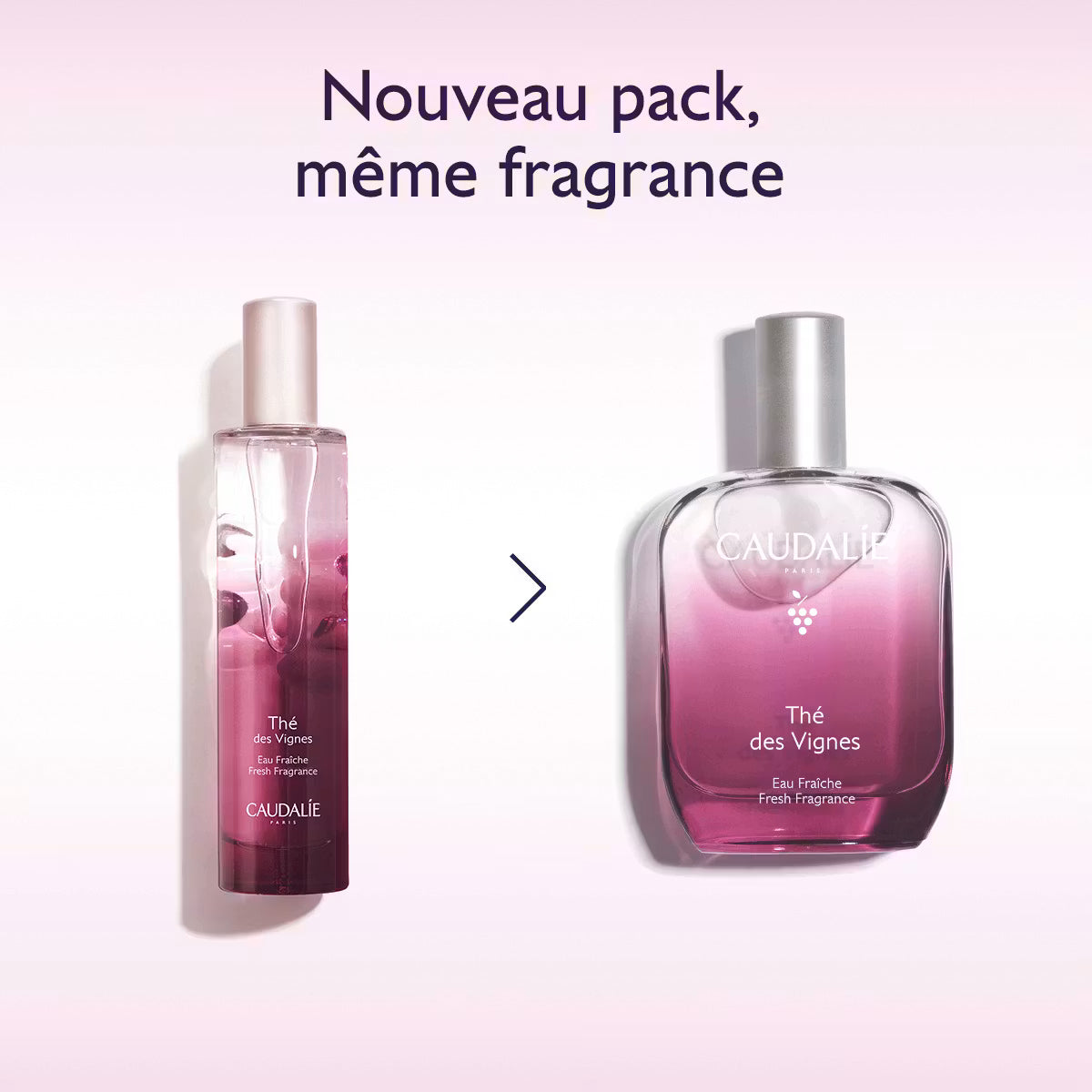 CAUDALIE EAU FRAICHE THE DES VIGNES 100ML