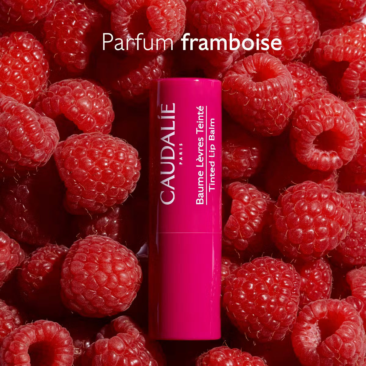 CAUDALIE BAUME LEVRES TEINTE 4G5