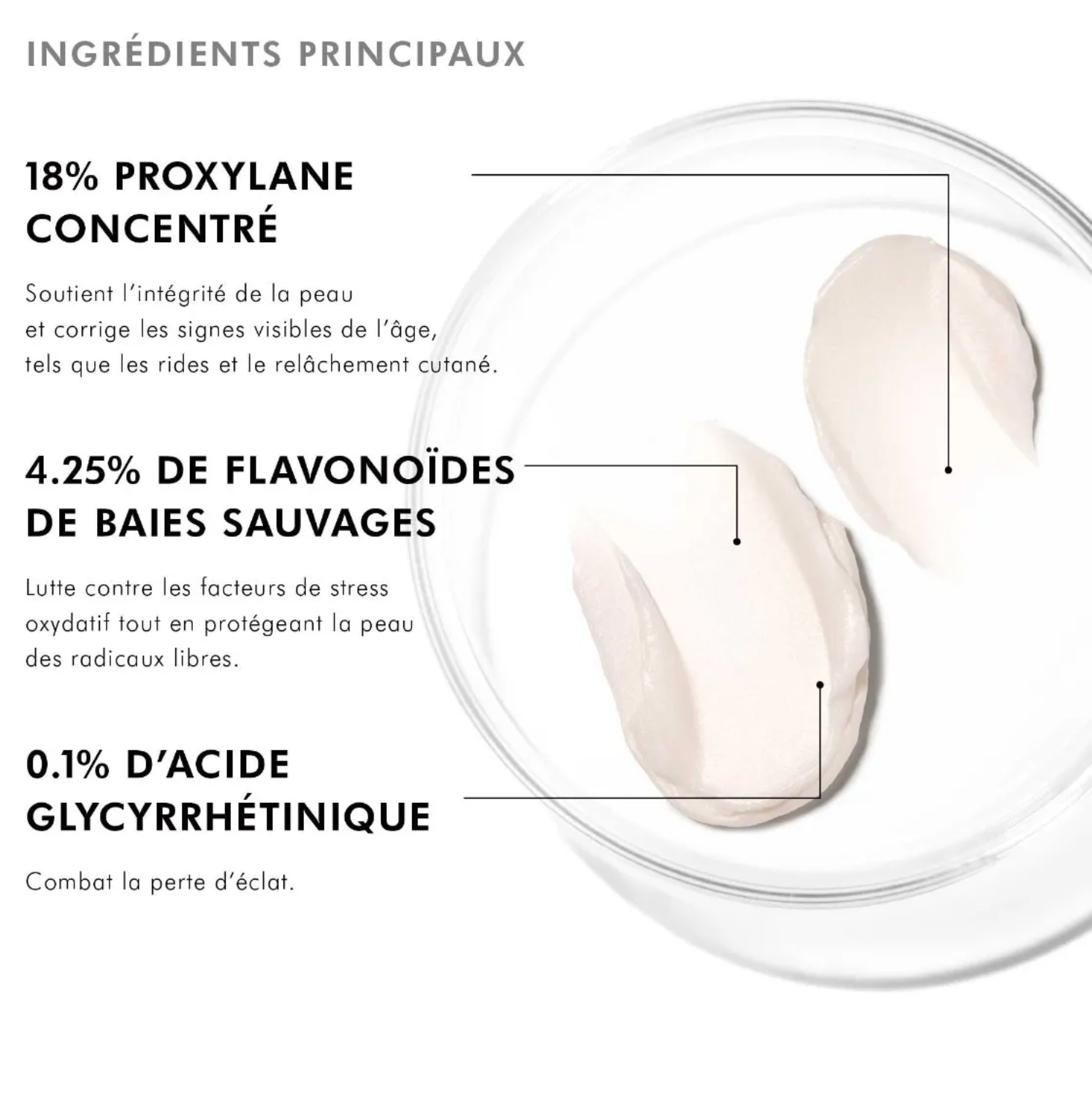 SKINCEUTICALS AGE INTERRUPTER ADVANCED CREME 48ML