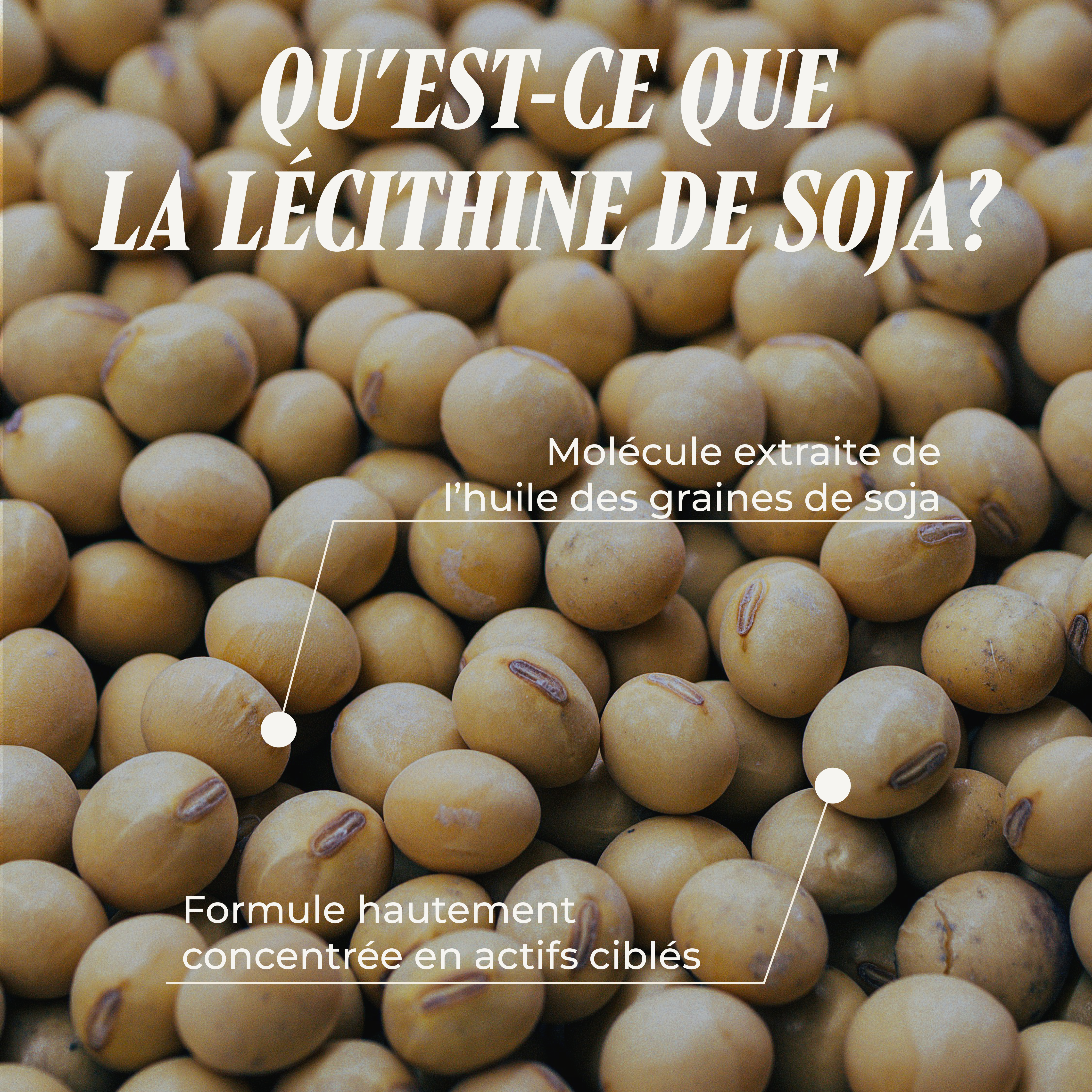 PSH1715 Lécithine de Soja ( Le complexe phyto-nutritionnel )