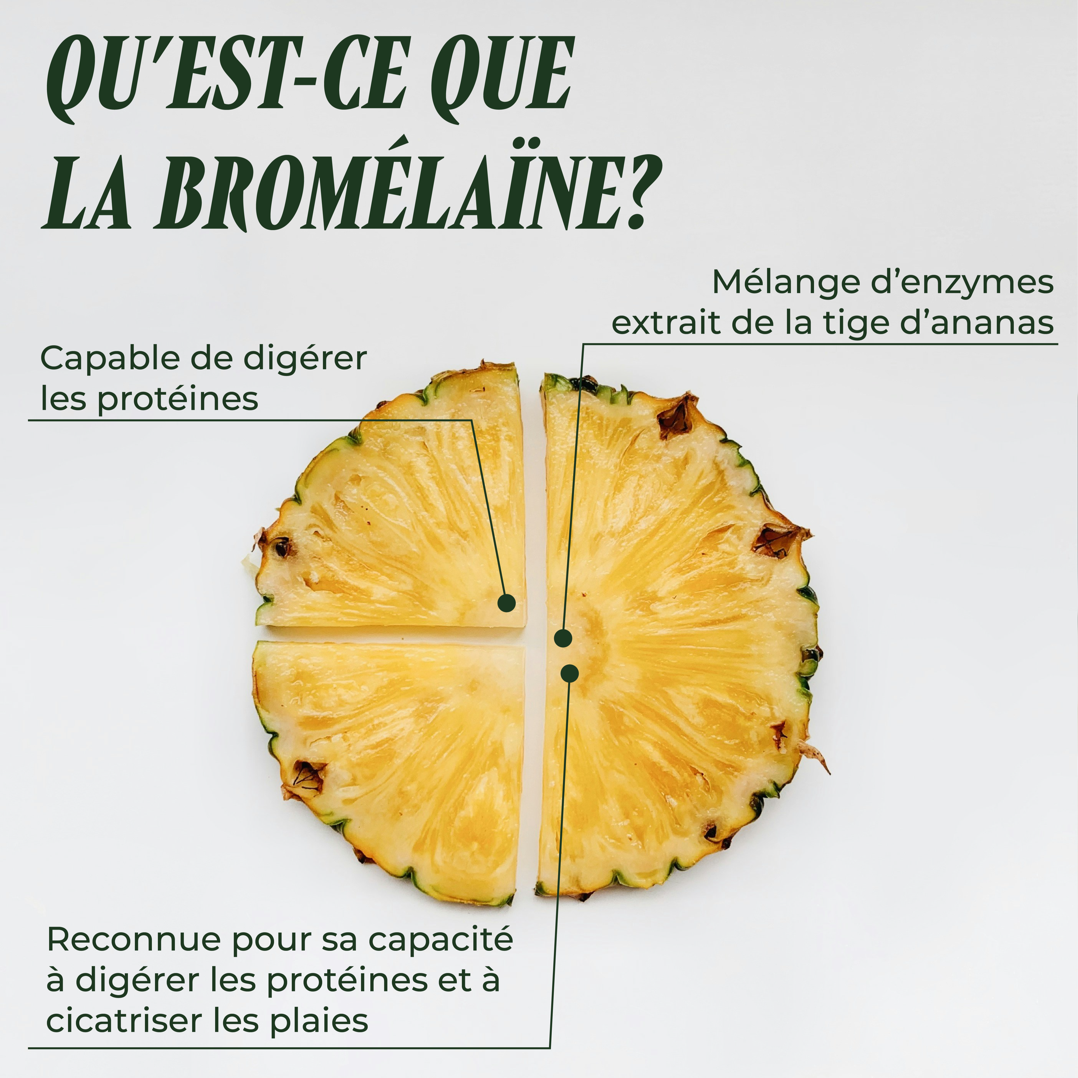 PSH1715 L'Effaceur ( Bromélaïne )