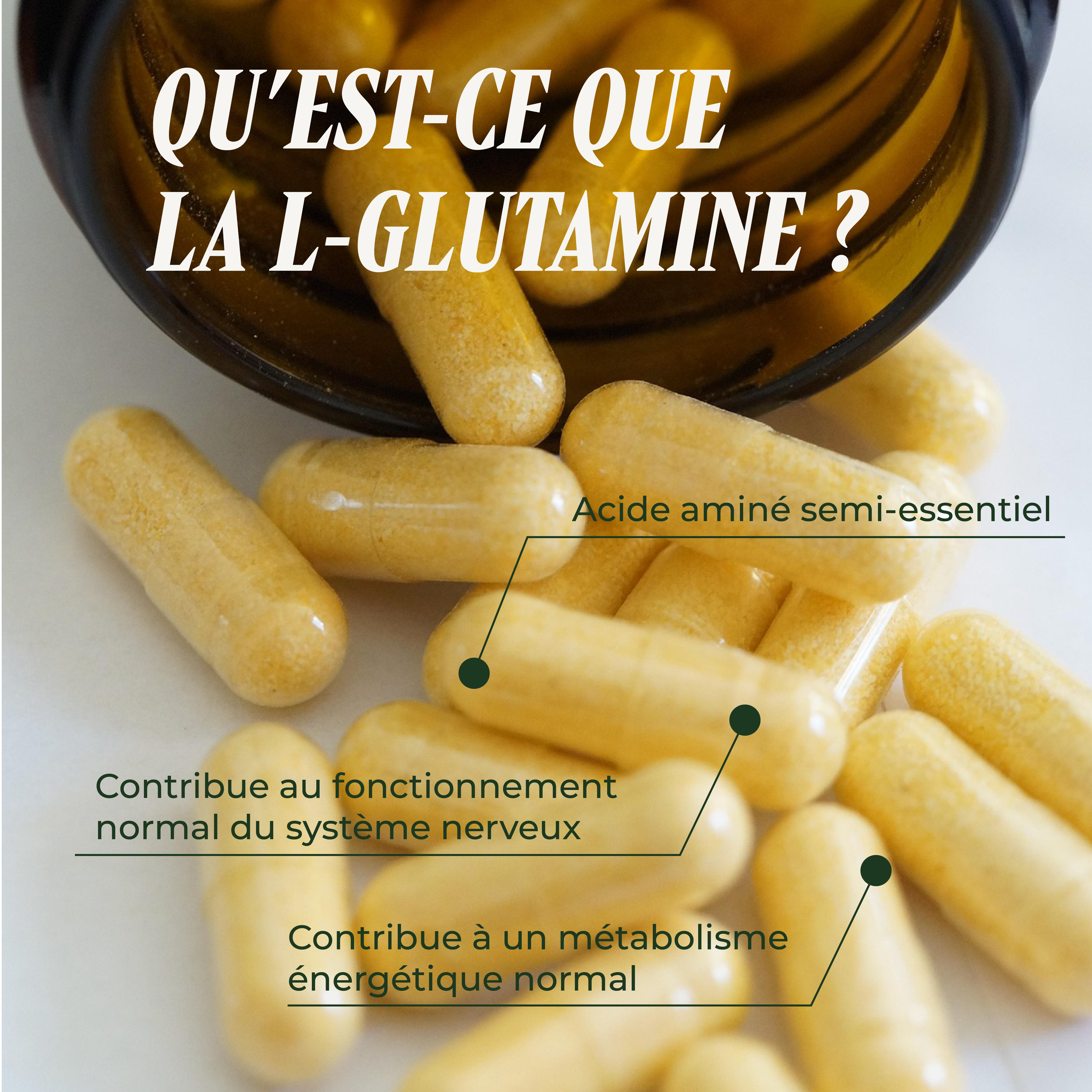 PSH1715 L-Gluta ( Micro-nutrition )