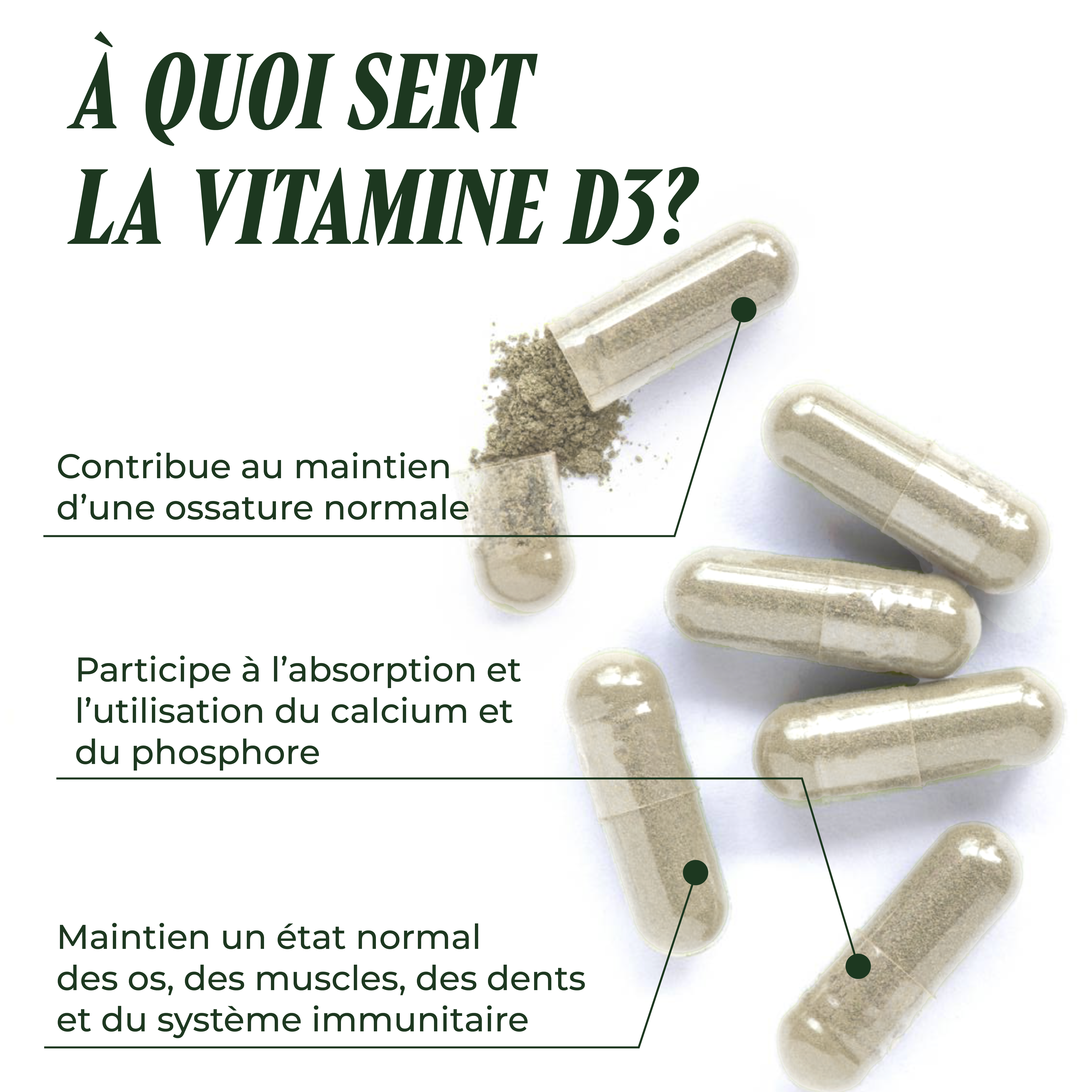 PSH1715 L'indispensable ( Vitamine D3 immunité )
