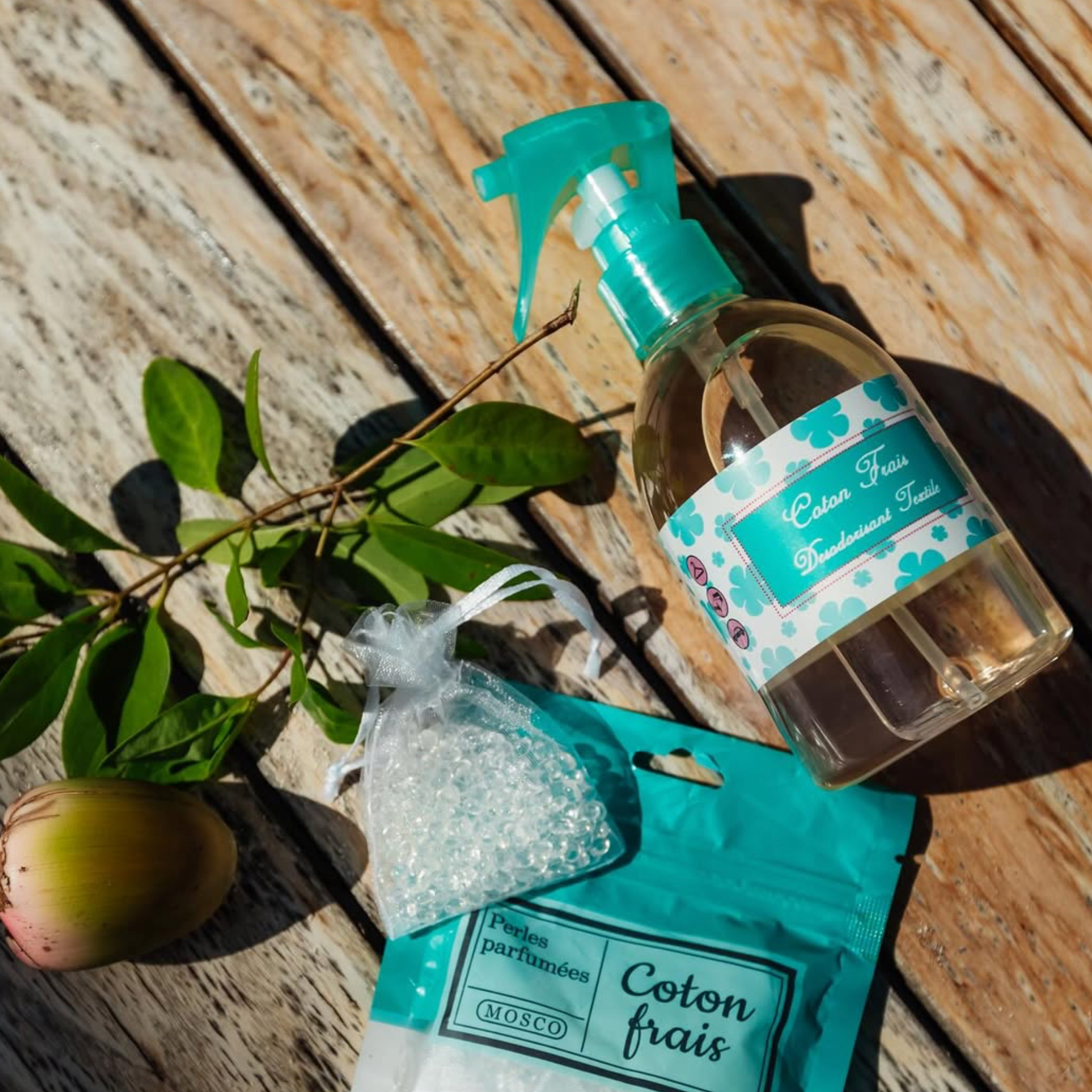 MOSCO SPRAY COTON FRAIS