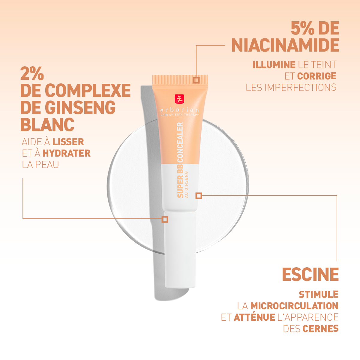 ERBORIAN SUPER BB CONCEALER CLAIR SPF25 10ML