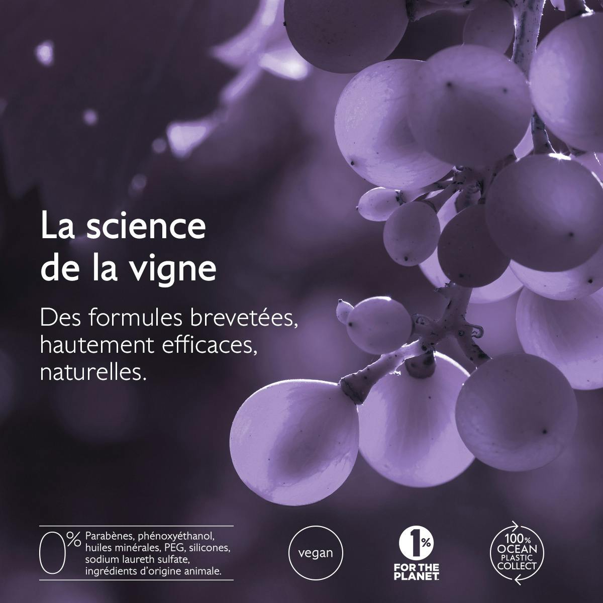 CAUDALIE SERUM CAPILLAIRE ANTI-CHUTE 50ML