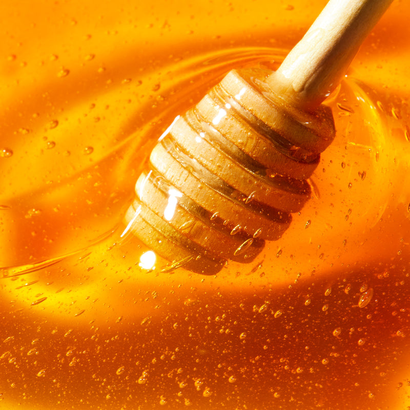 NUXE REVE DE MIEL OFFRE DECOUVERTE CREME MAINS + STICK LEVRES