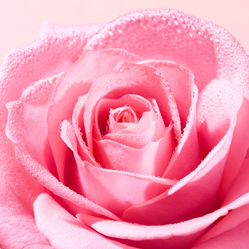 NUXE VERY ROSE GELEE NETTOYANTE APAISANTE 150ML