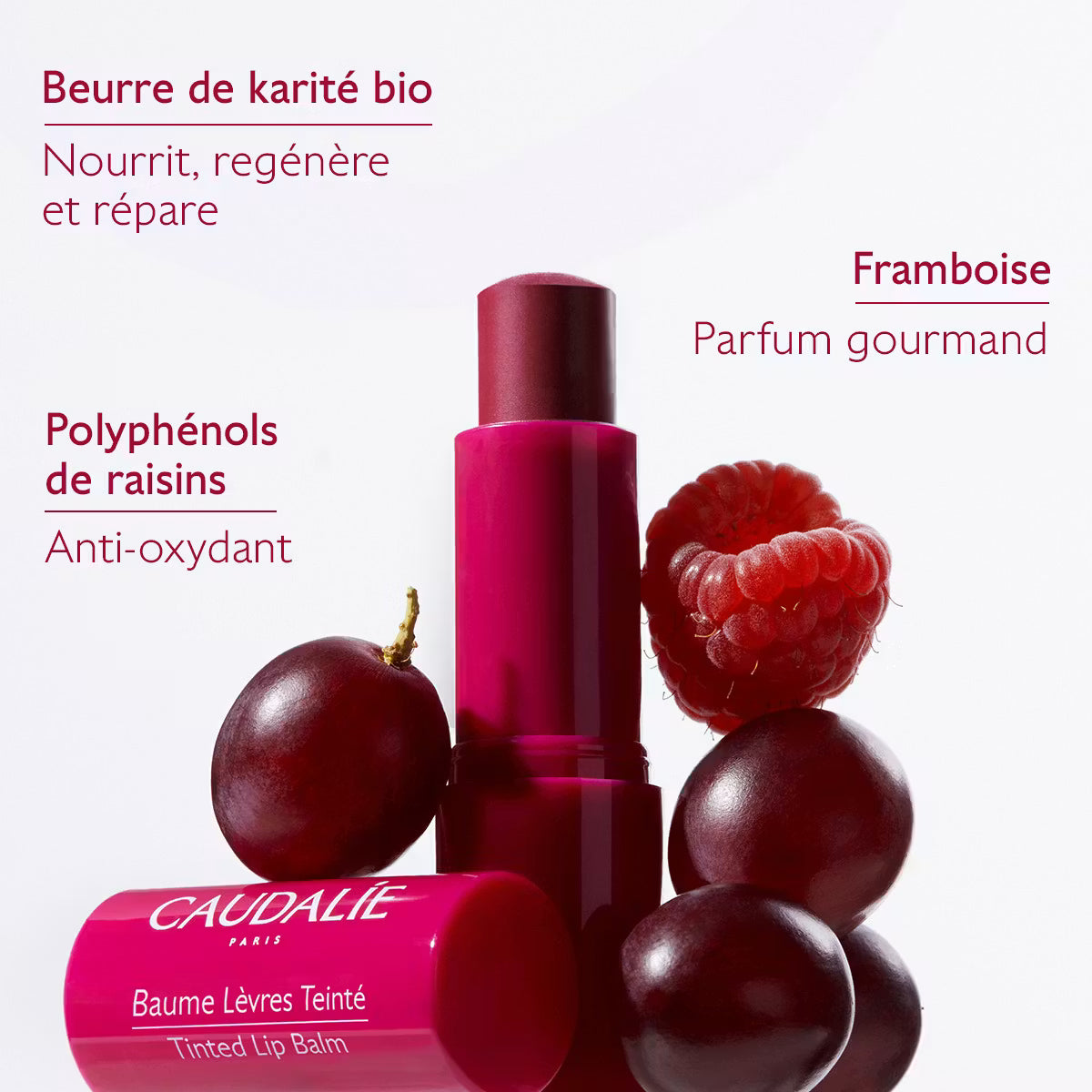 CAUDALIE BAUME LEVRES TEINTE 4G5