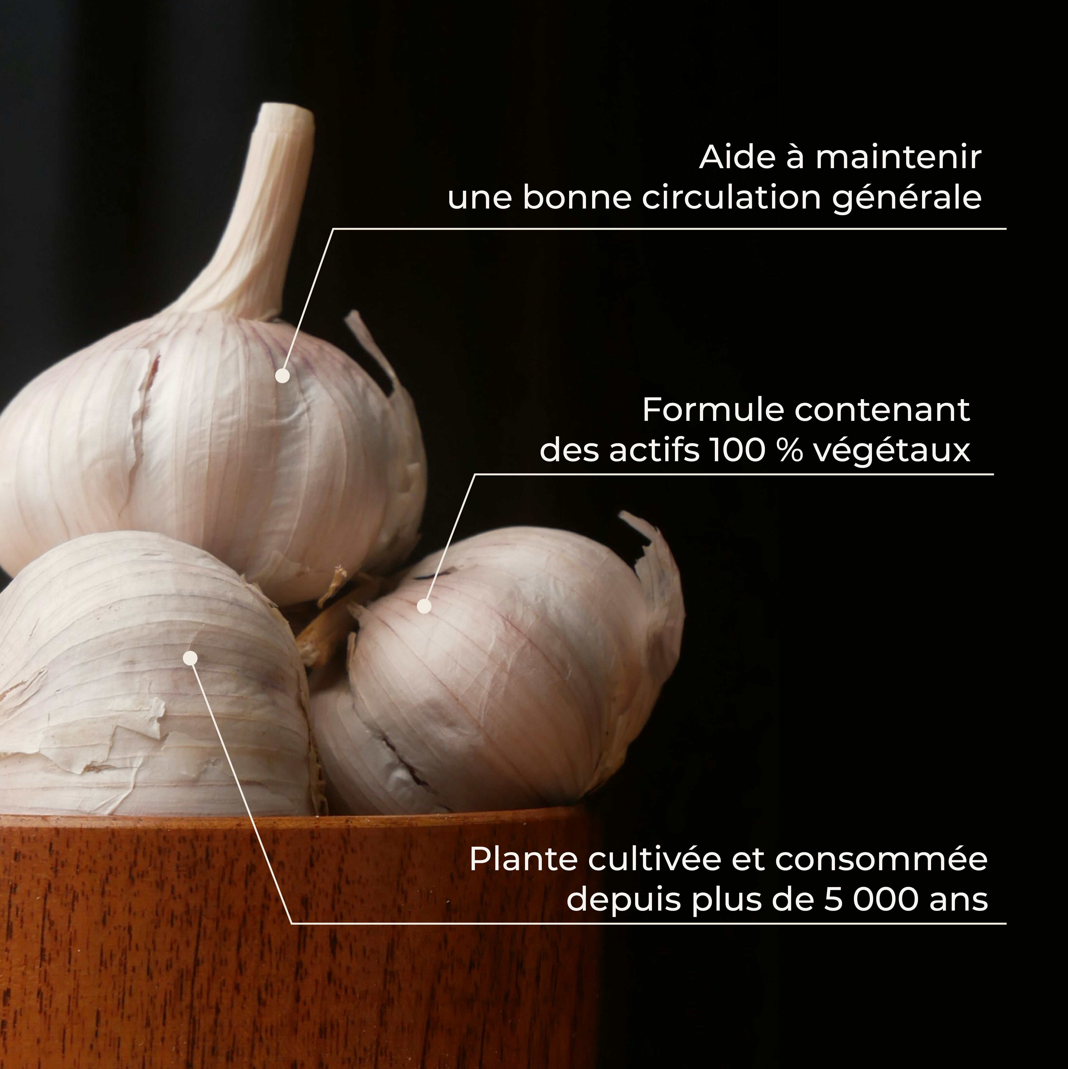 PSH1715 Ail & ses vertus (système vasculaire)