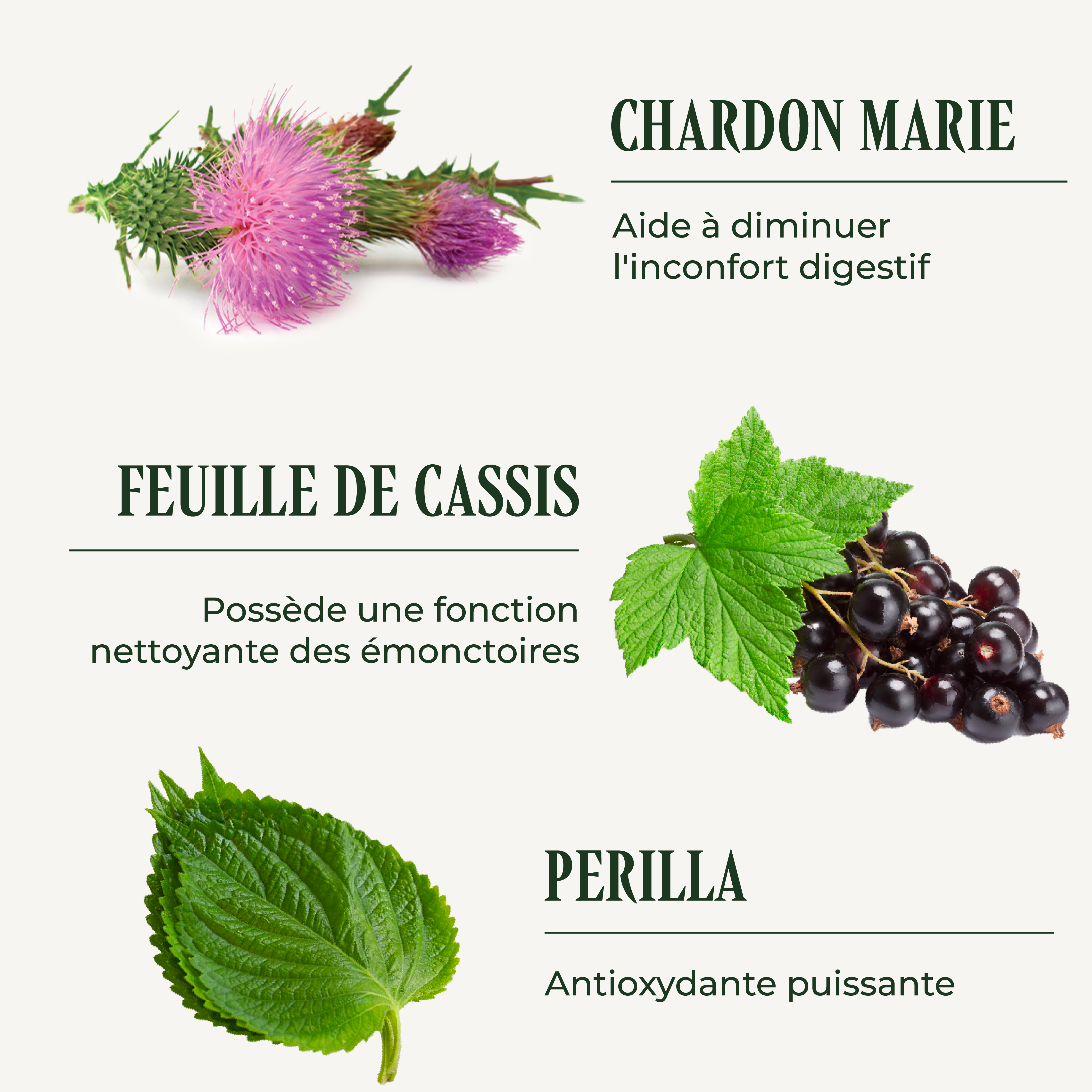 PSH1715 Allergotraite ( Allergie & immunité )