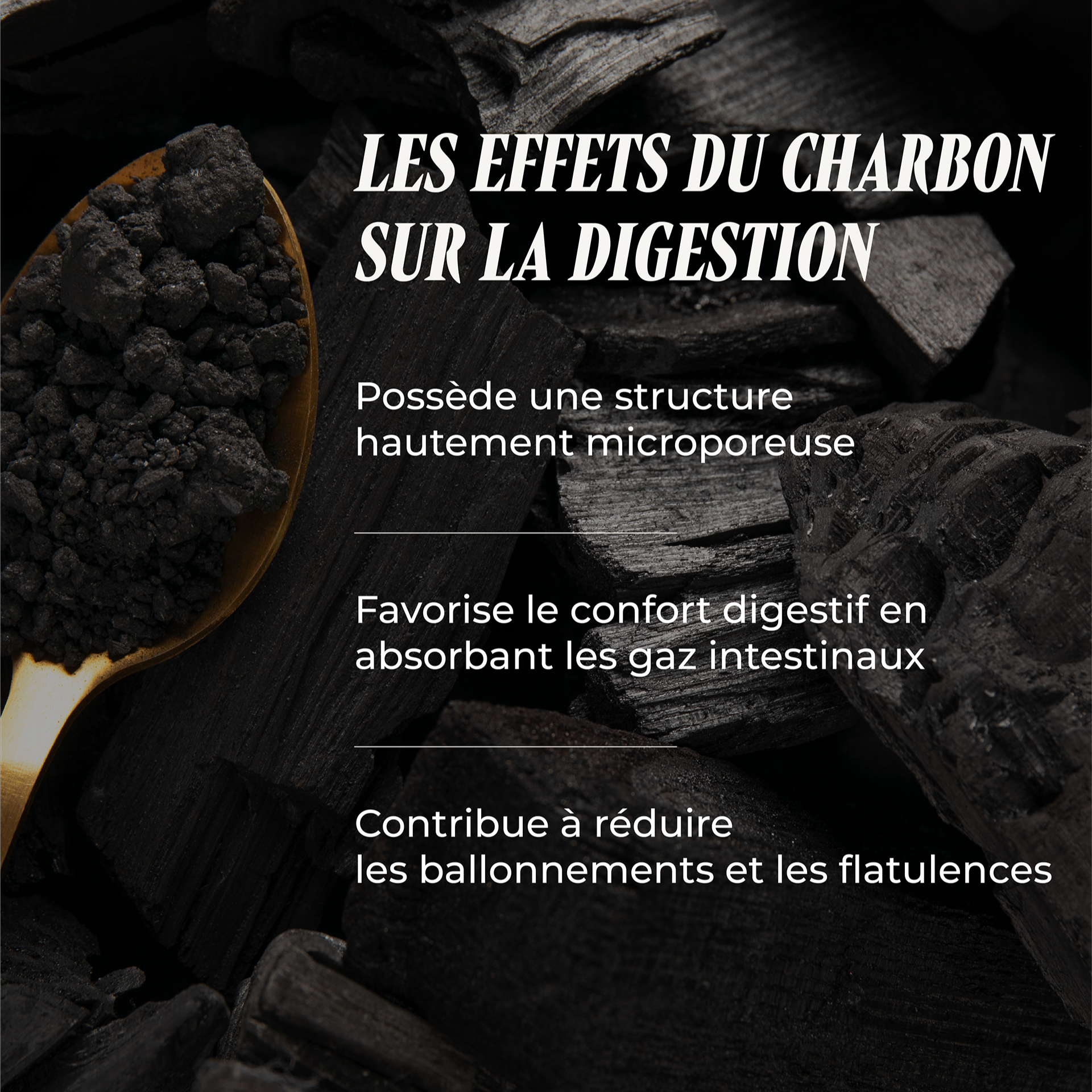 PSH1715 Charbon Max ( La Digestion )