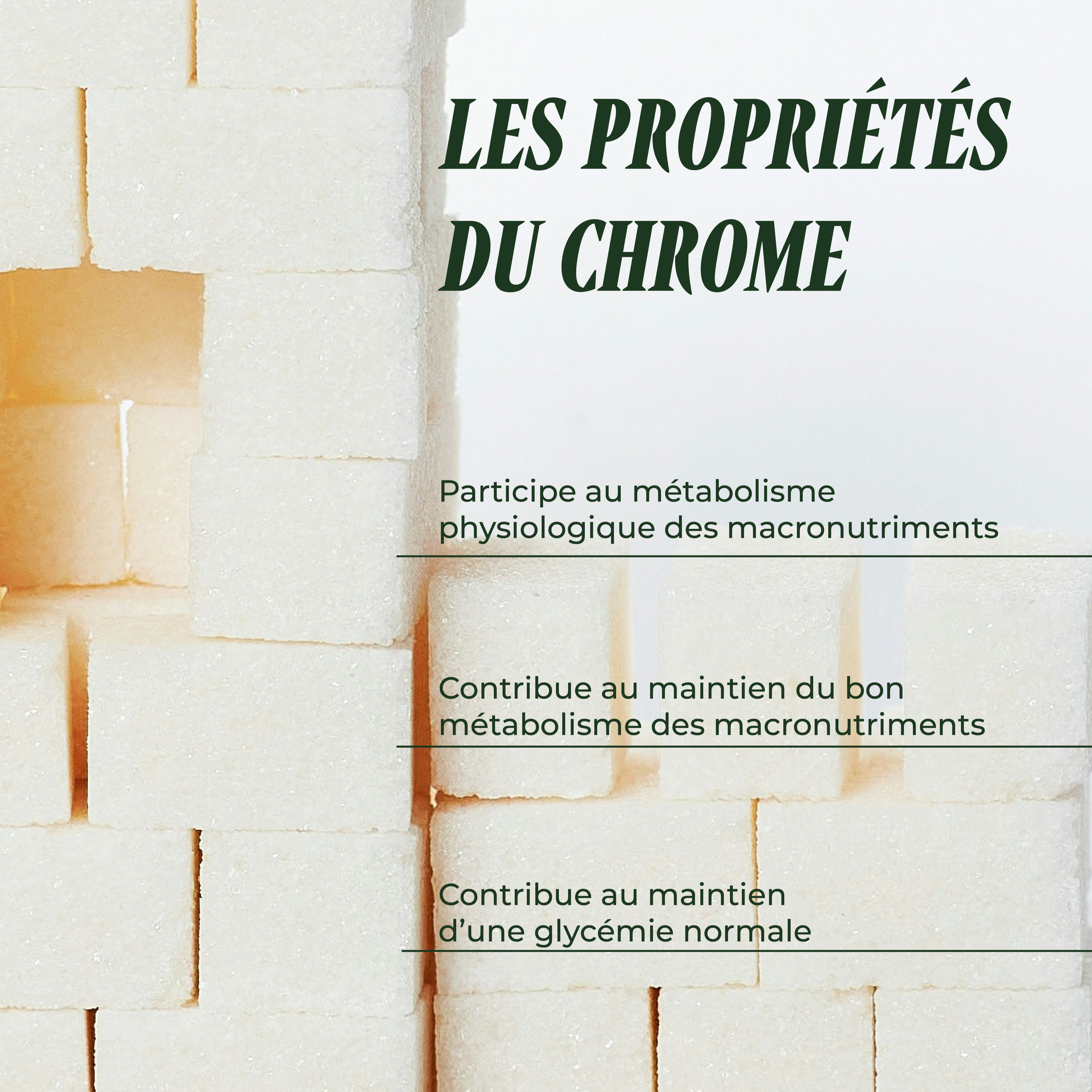 PSH1715 Chrome Picolinate ( Métabolisme des glucides )
