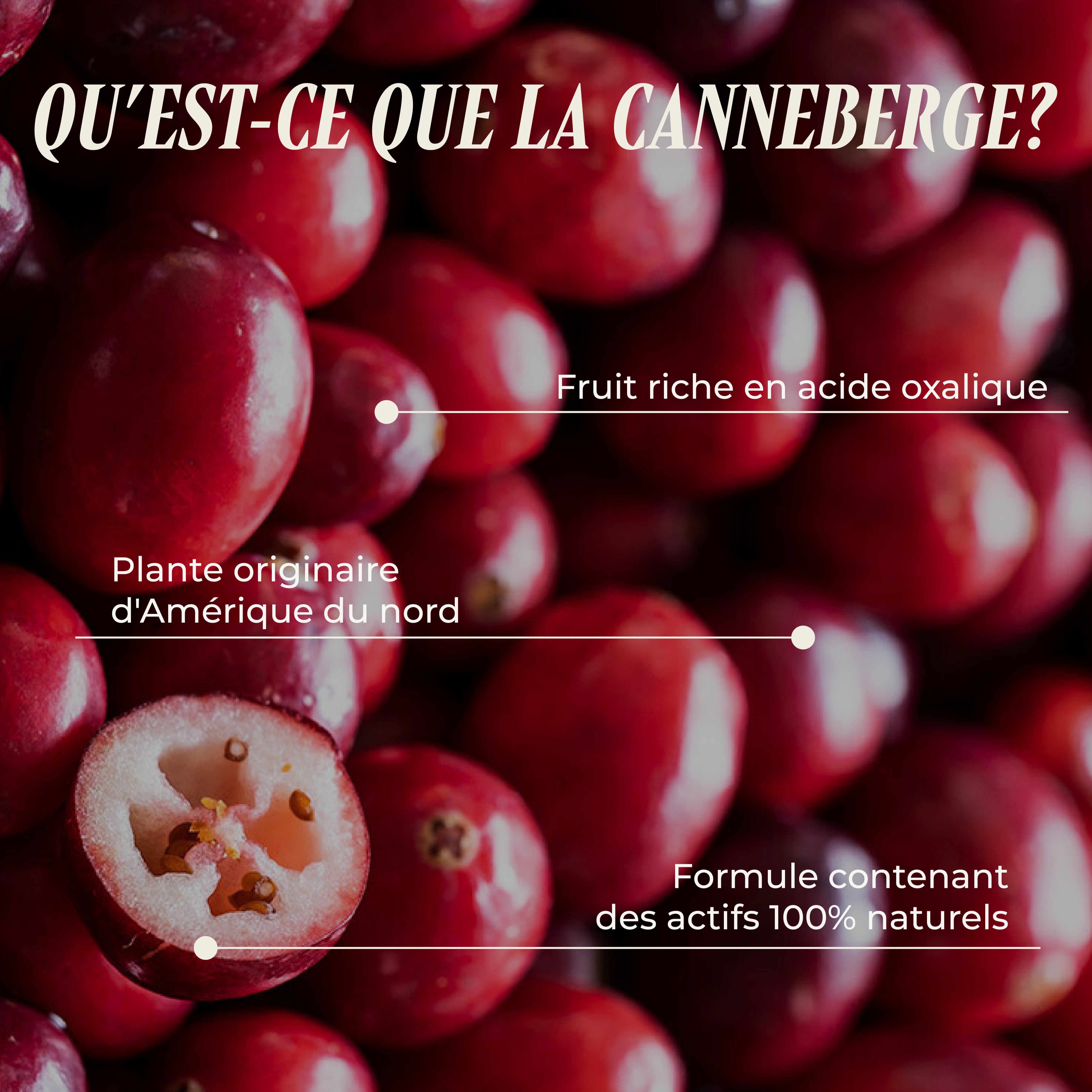 PSH1715 Cranberry ( L'appareil urinaire )
