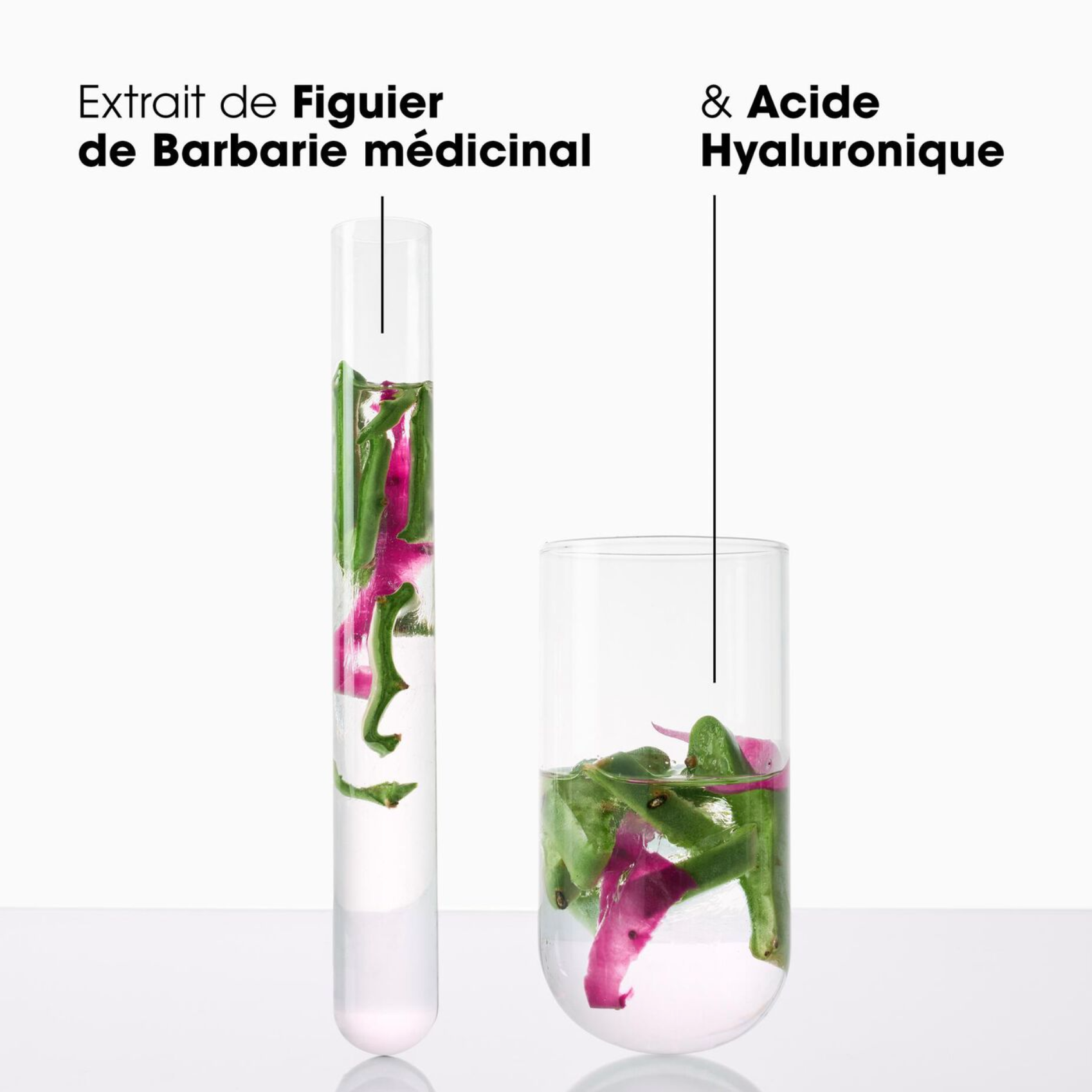 KLORANE SERUM DESALTERANT FIGUIER 100ML
