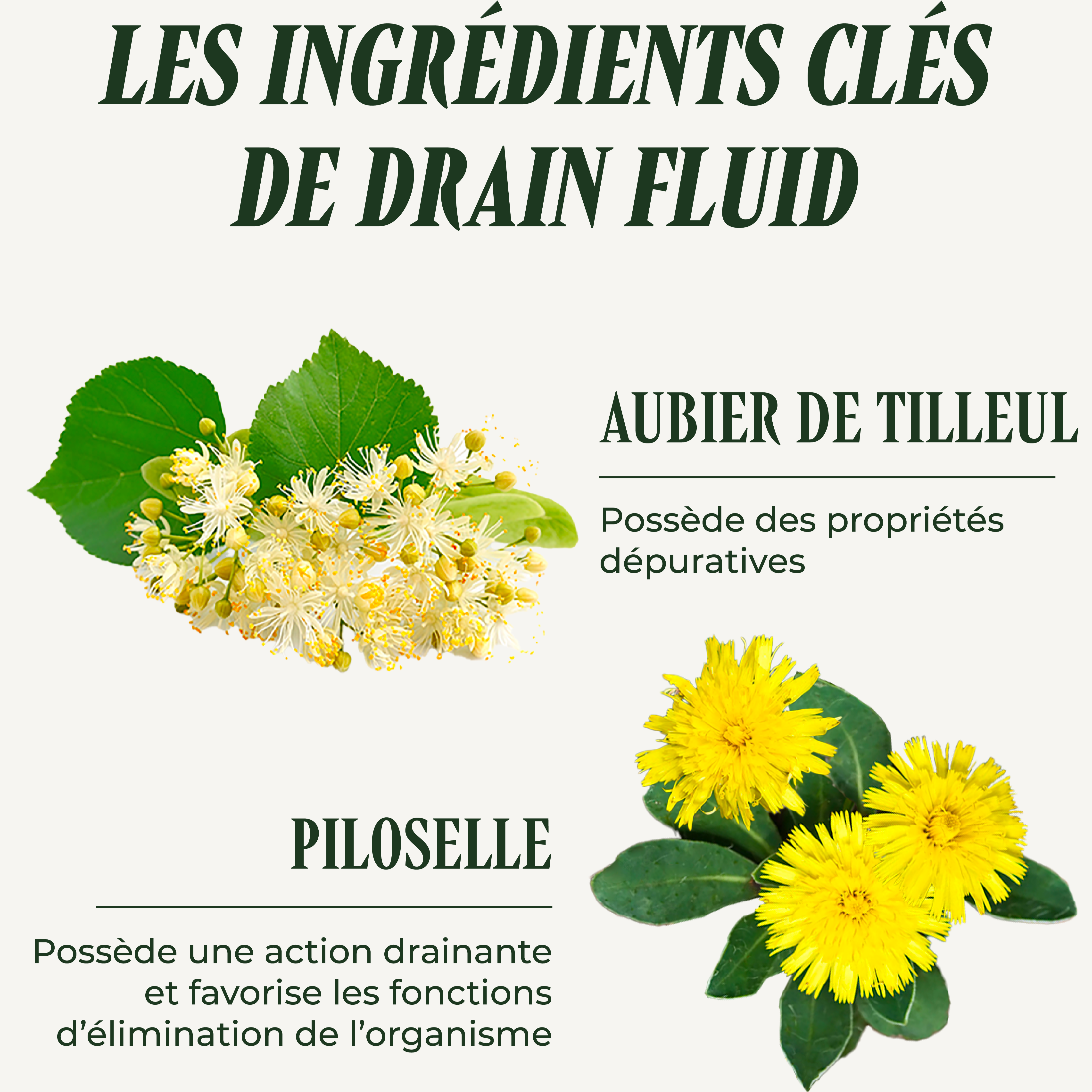 PSH1715 Drain Fluid ( Fluide)