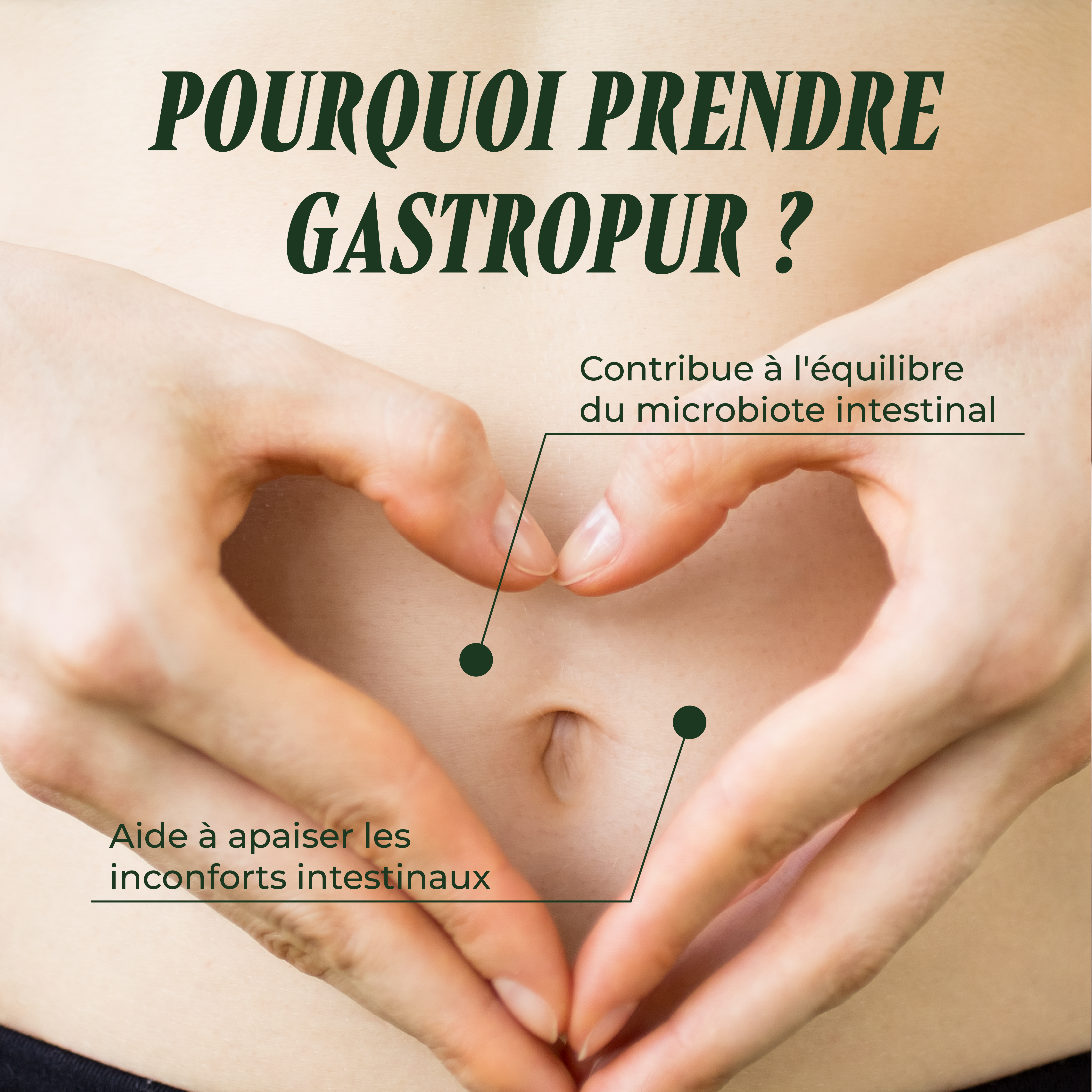 PSH1715 Gastropur ( La digestion )