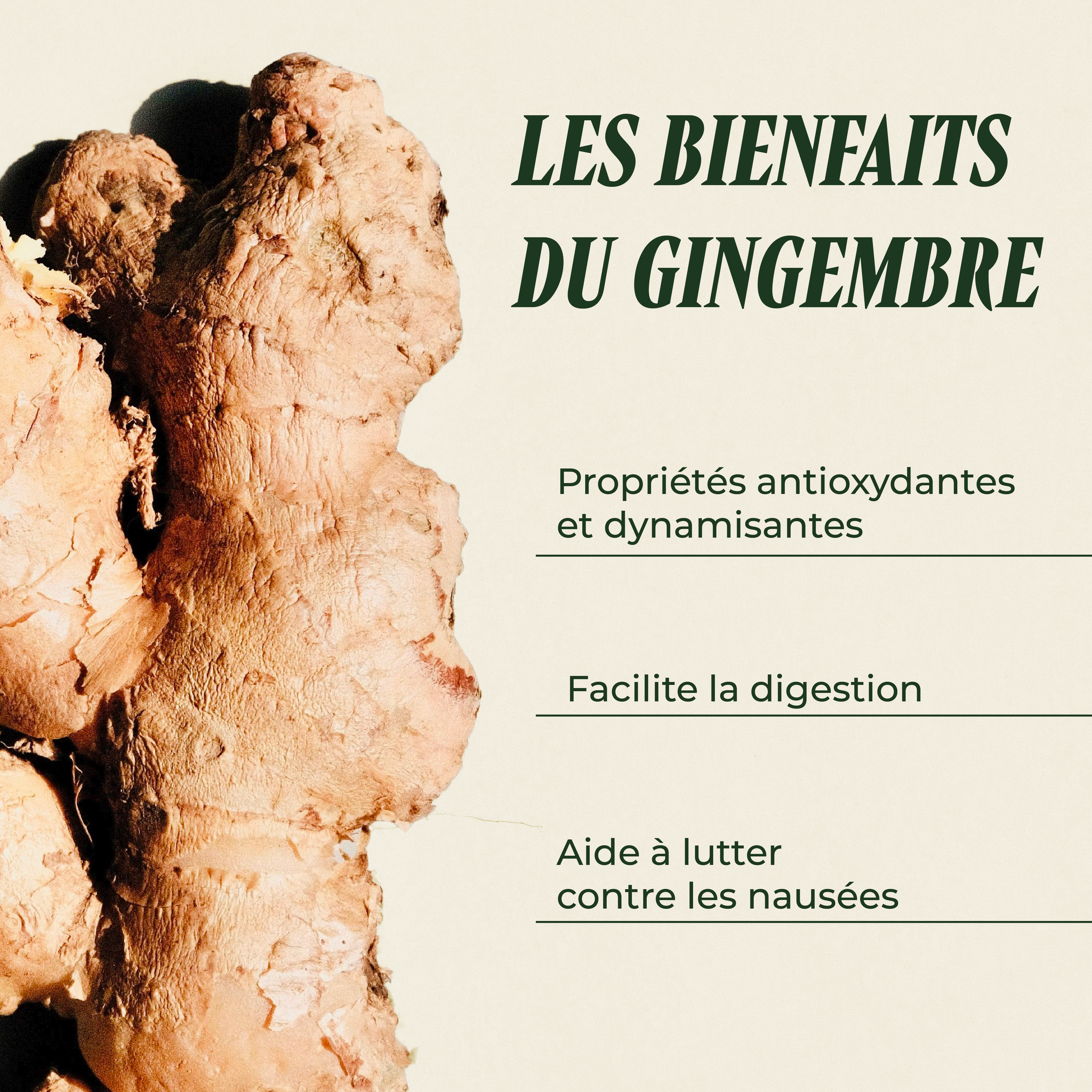 PSH1715 Ginger Force ( Le dynamisant & les états nauséeux )