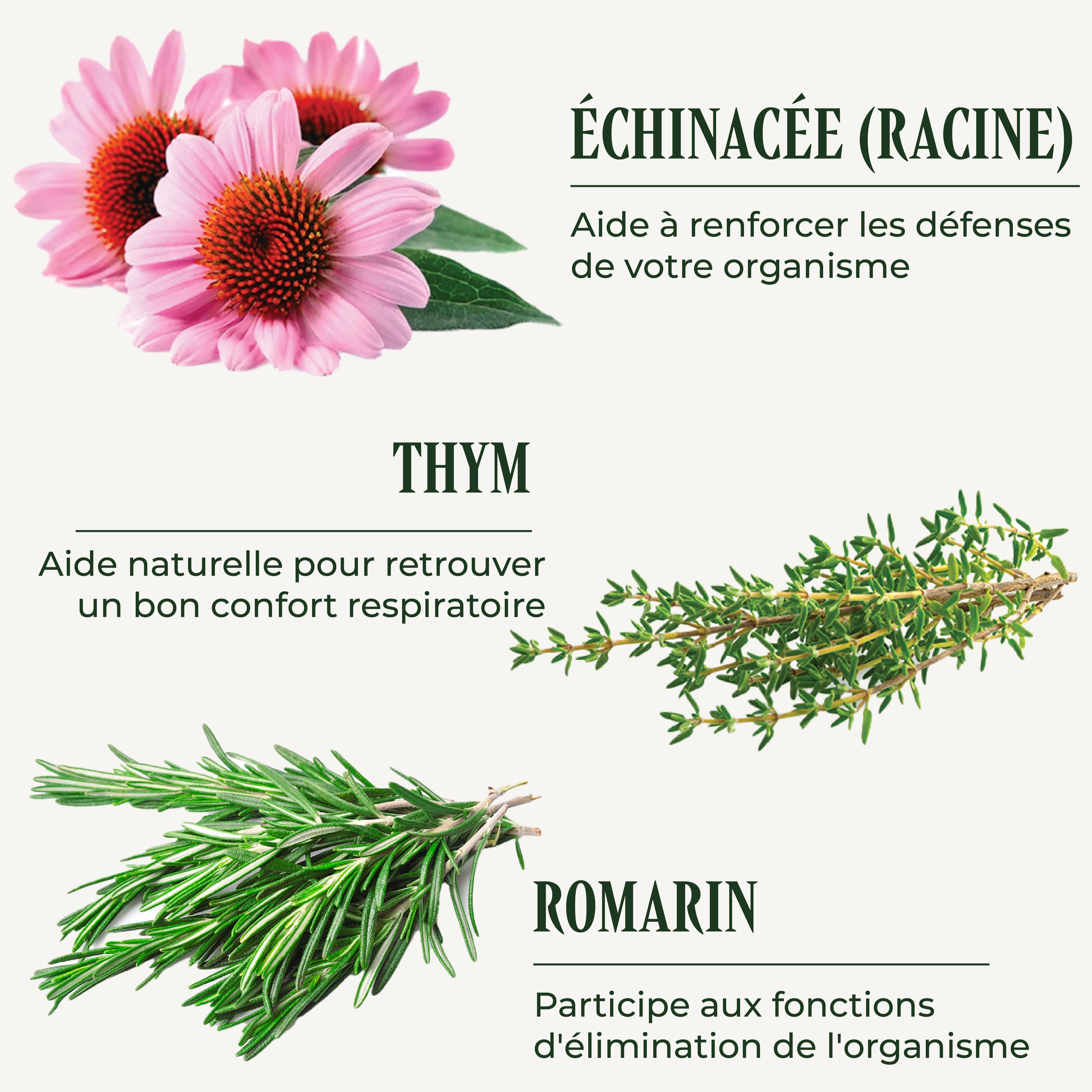 PSH1715 Immunité ( Le complexe phyto-nutritionnel )