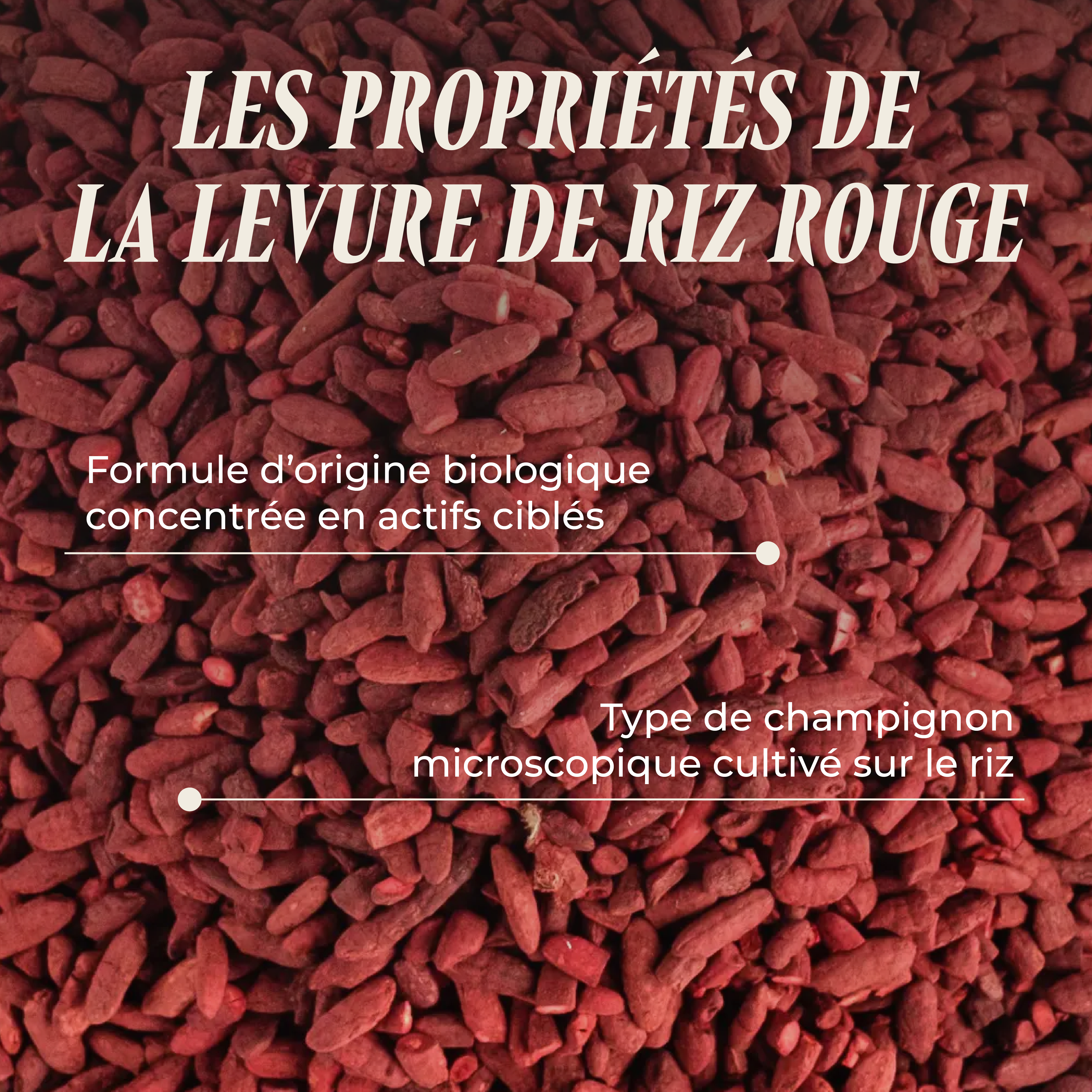PSH1715 Levure de Riz Rouge ( Monacoline K)
