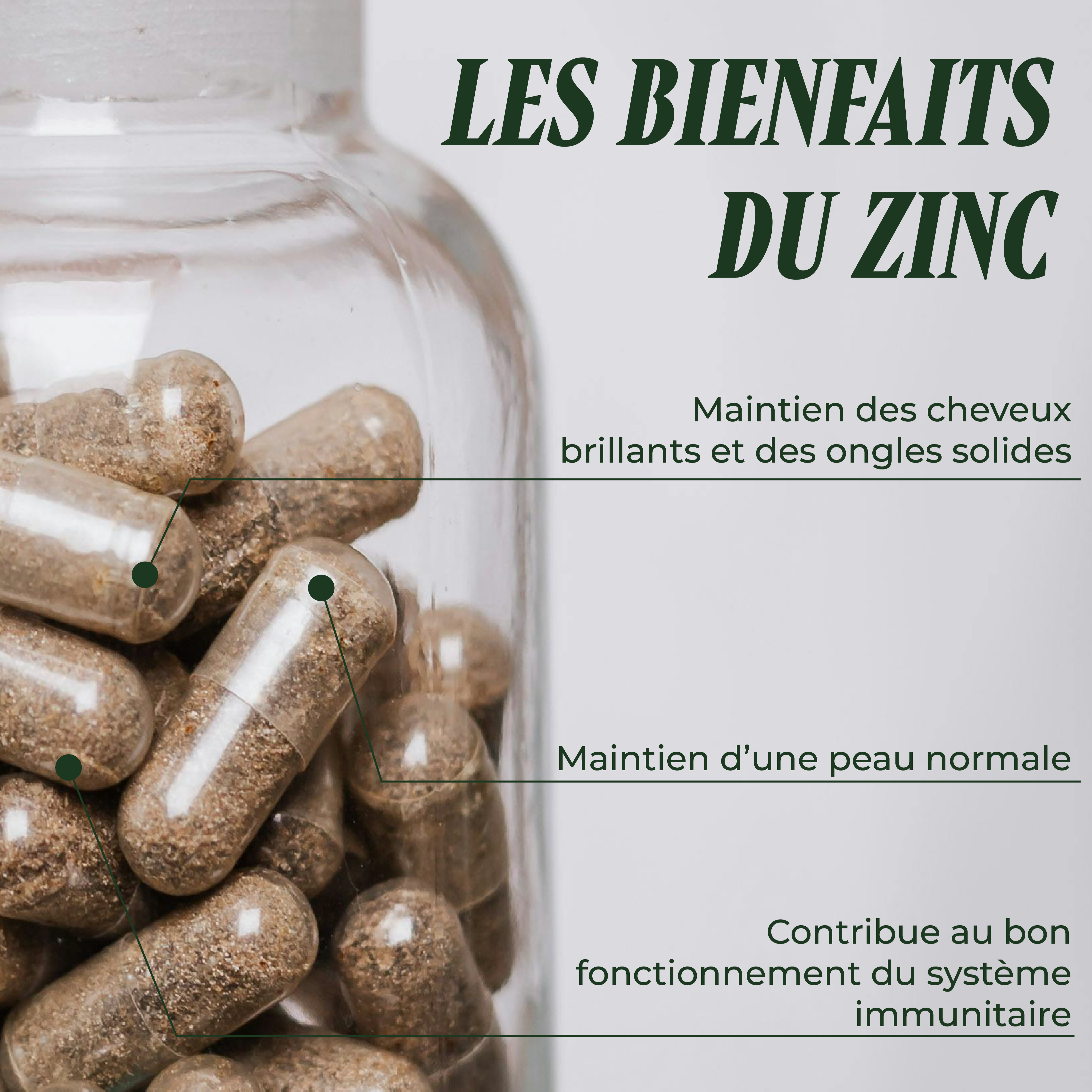 PSH1715 Le Z zinc ( La peau & la fertilité )
