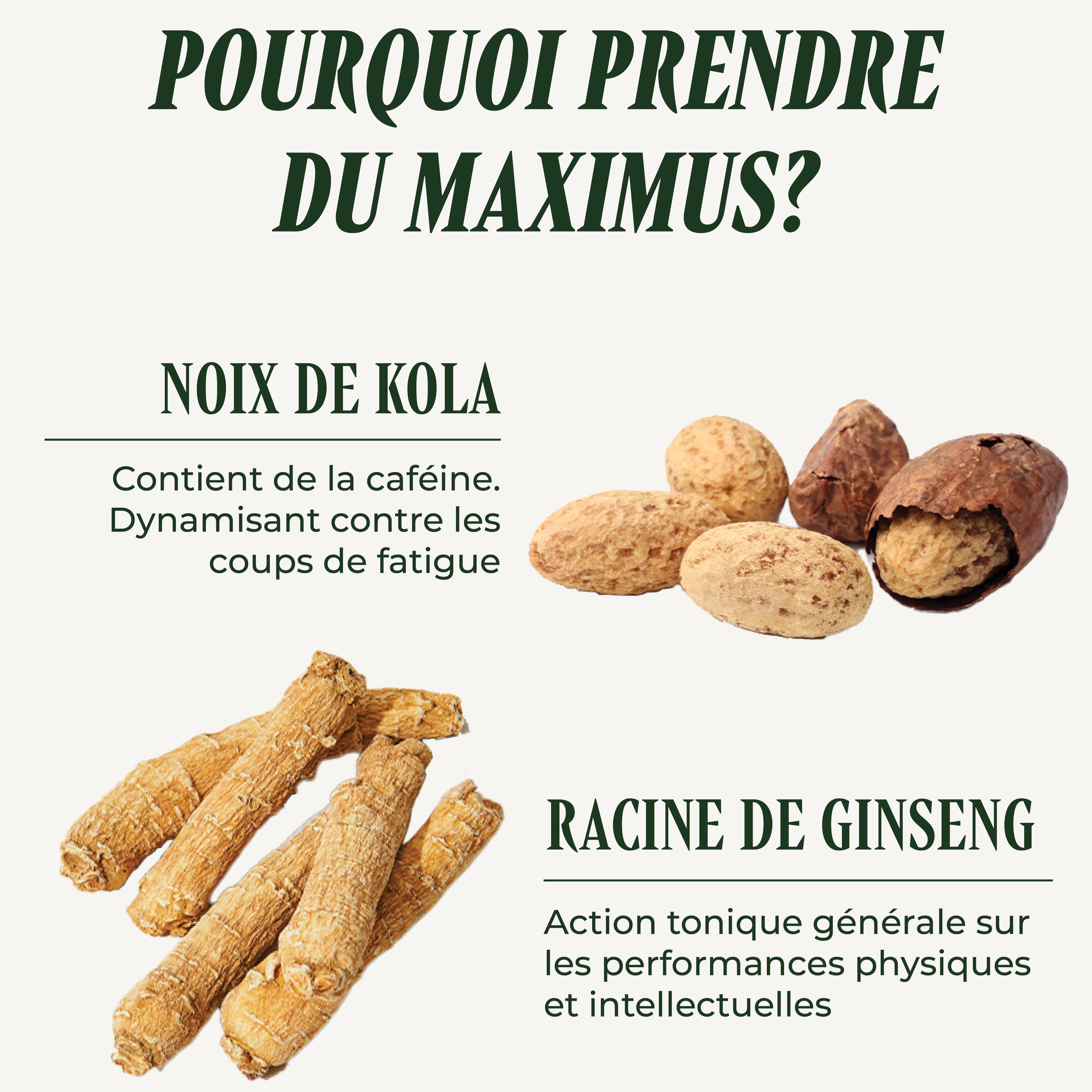 PSH1715 Maximus ( la fatigue, les examens & l’énergie )