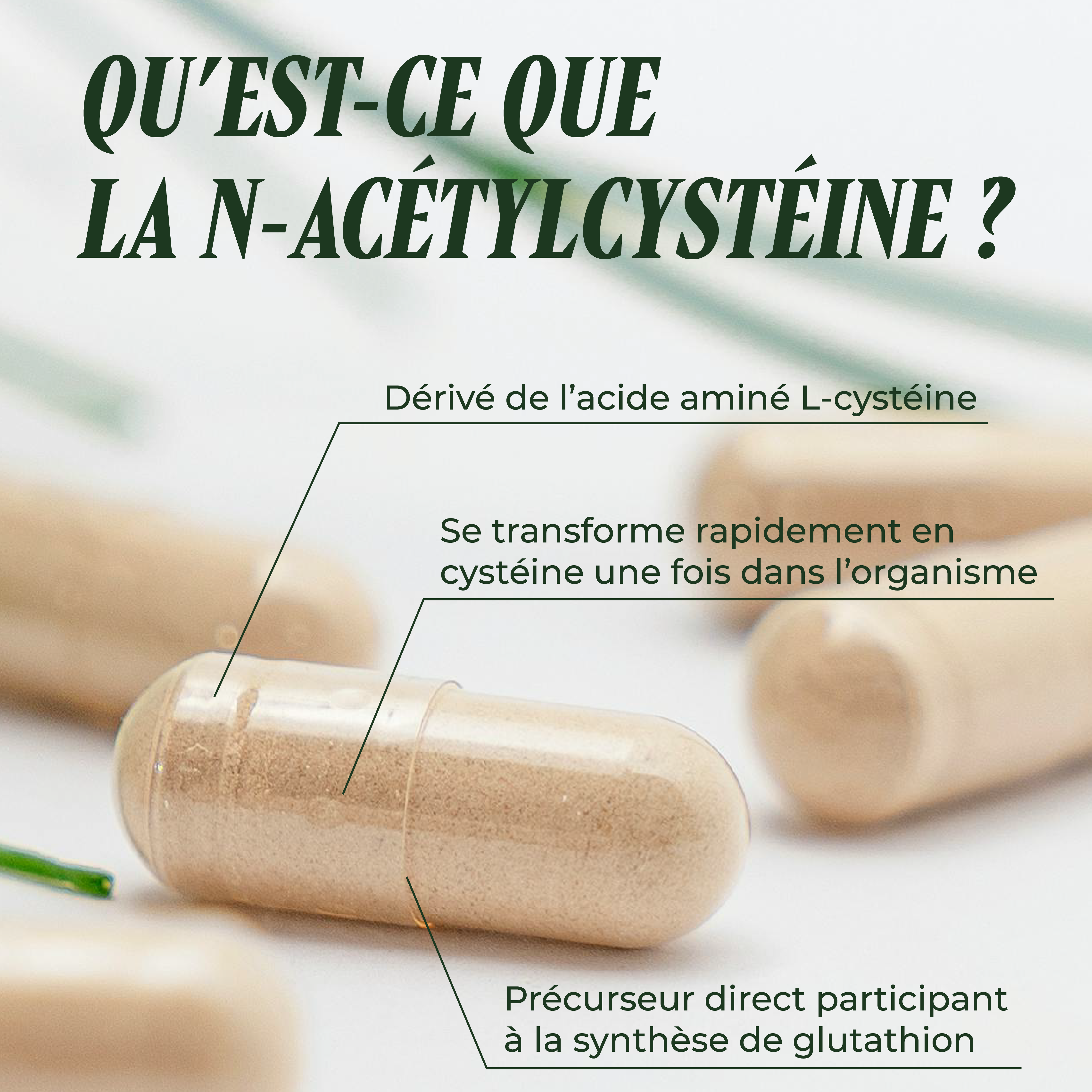 PSH1715 Nac Plus Ultra ( N-Acétyl-Cystéine )