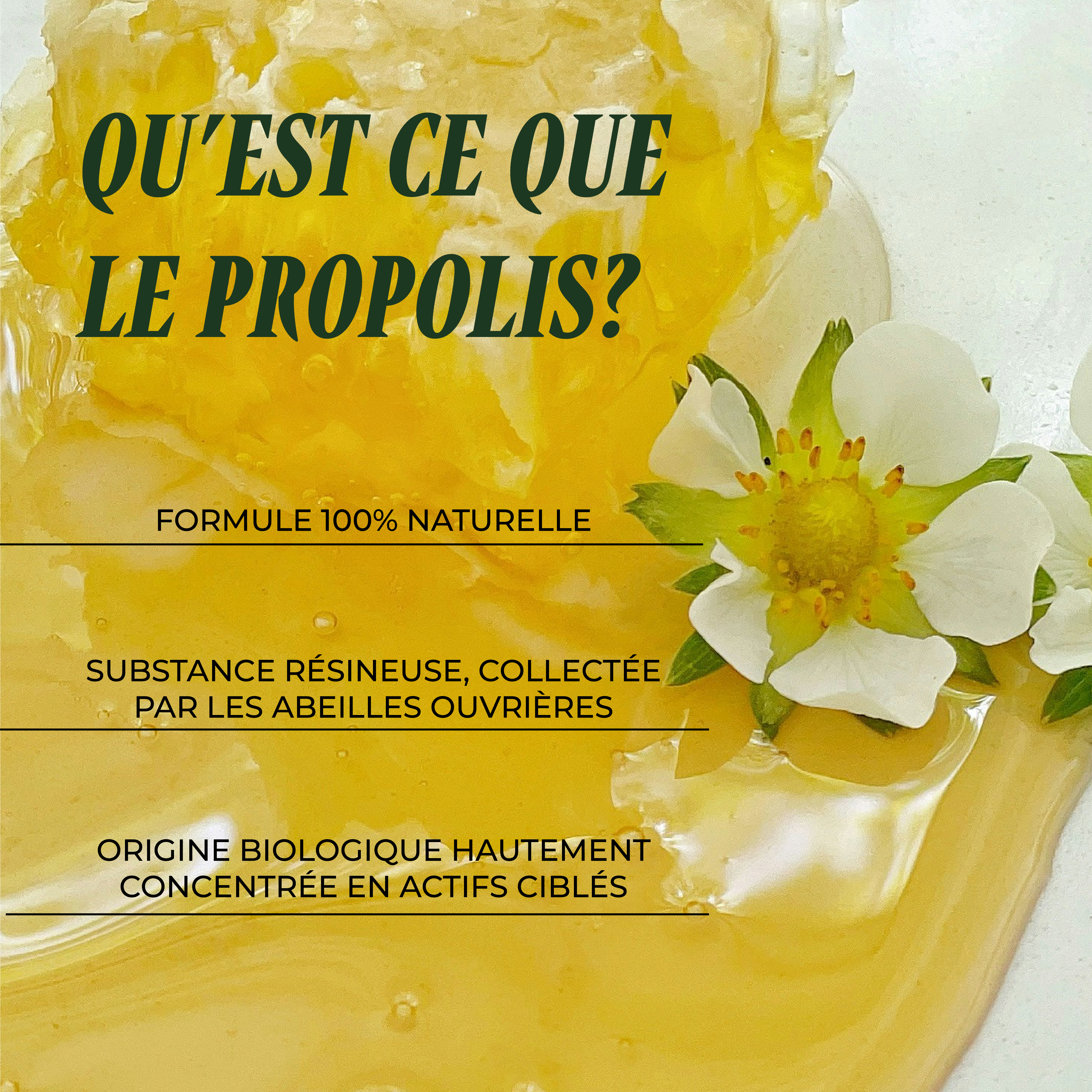PSH1715 Résine Protectrice ( Propolis )