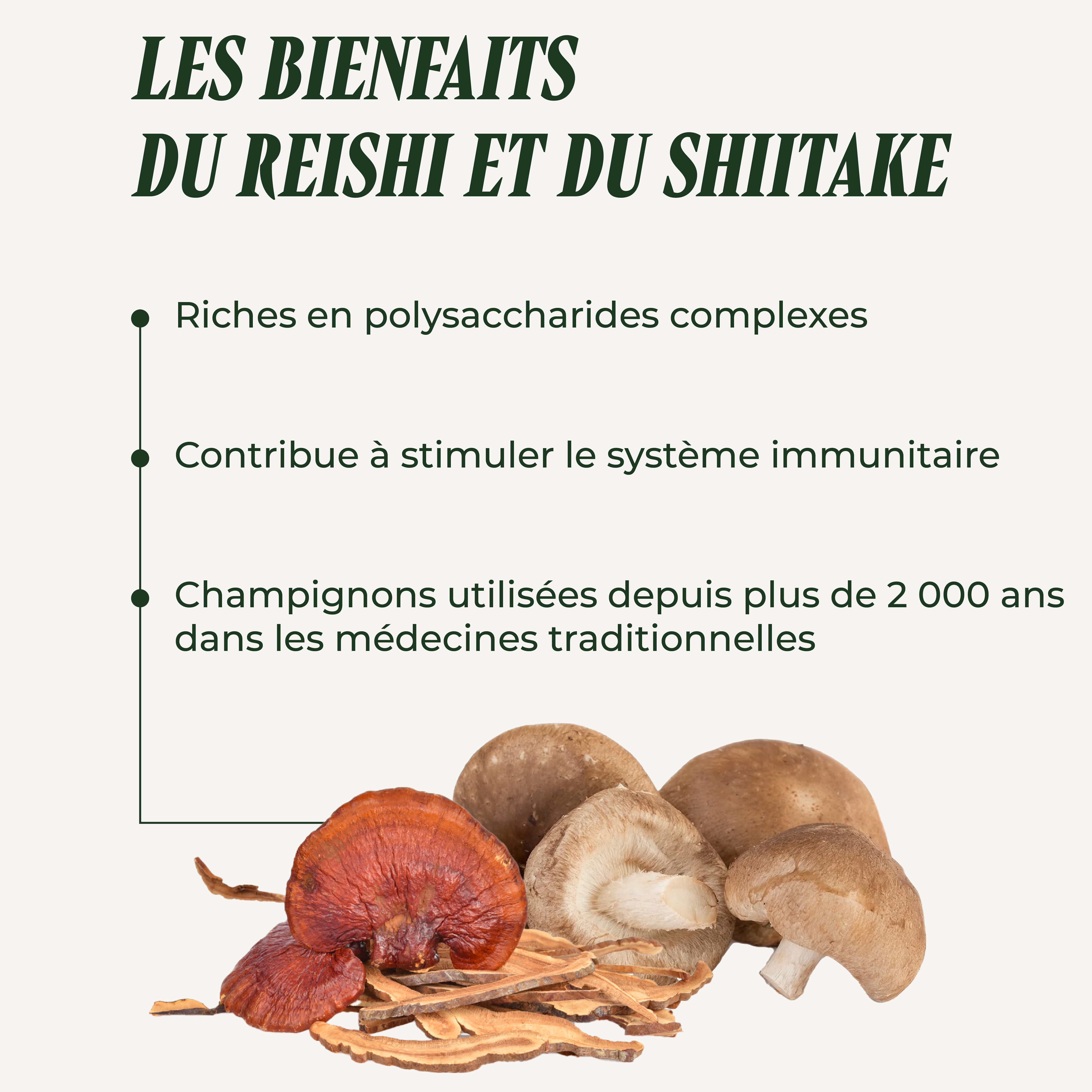 PSH1715 Reishi-Shiitake ( L'immunité )