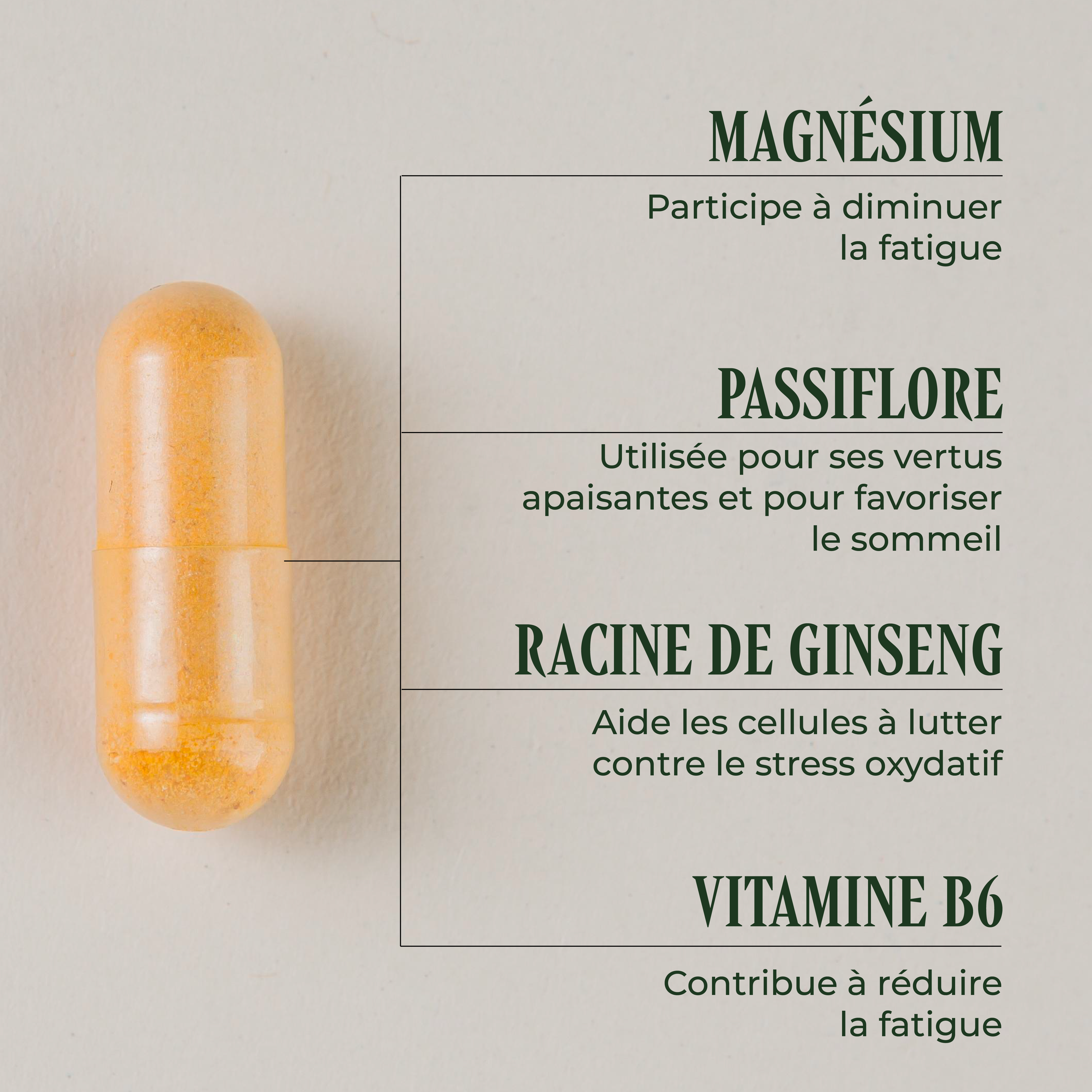 PSH1715 Stop Stress ( La fatigue )