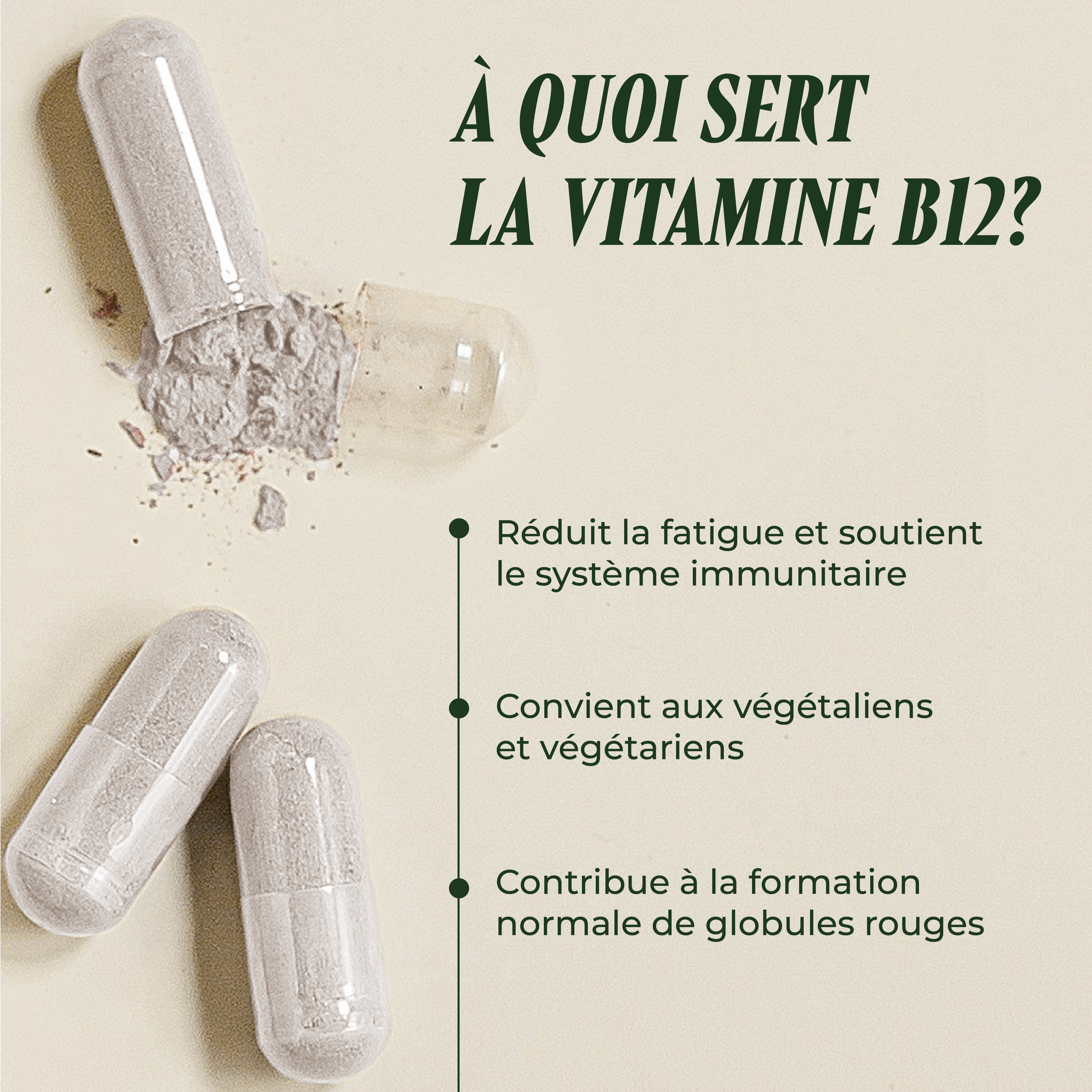 PSH1715 Turbo-B12 ( La mémoire et le système nerveux )