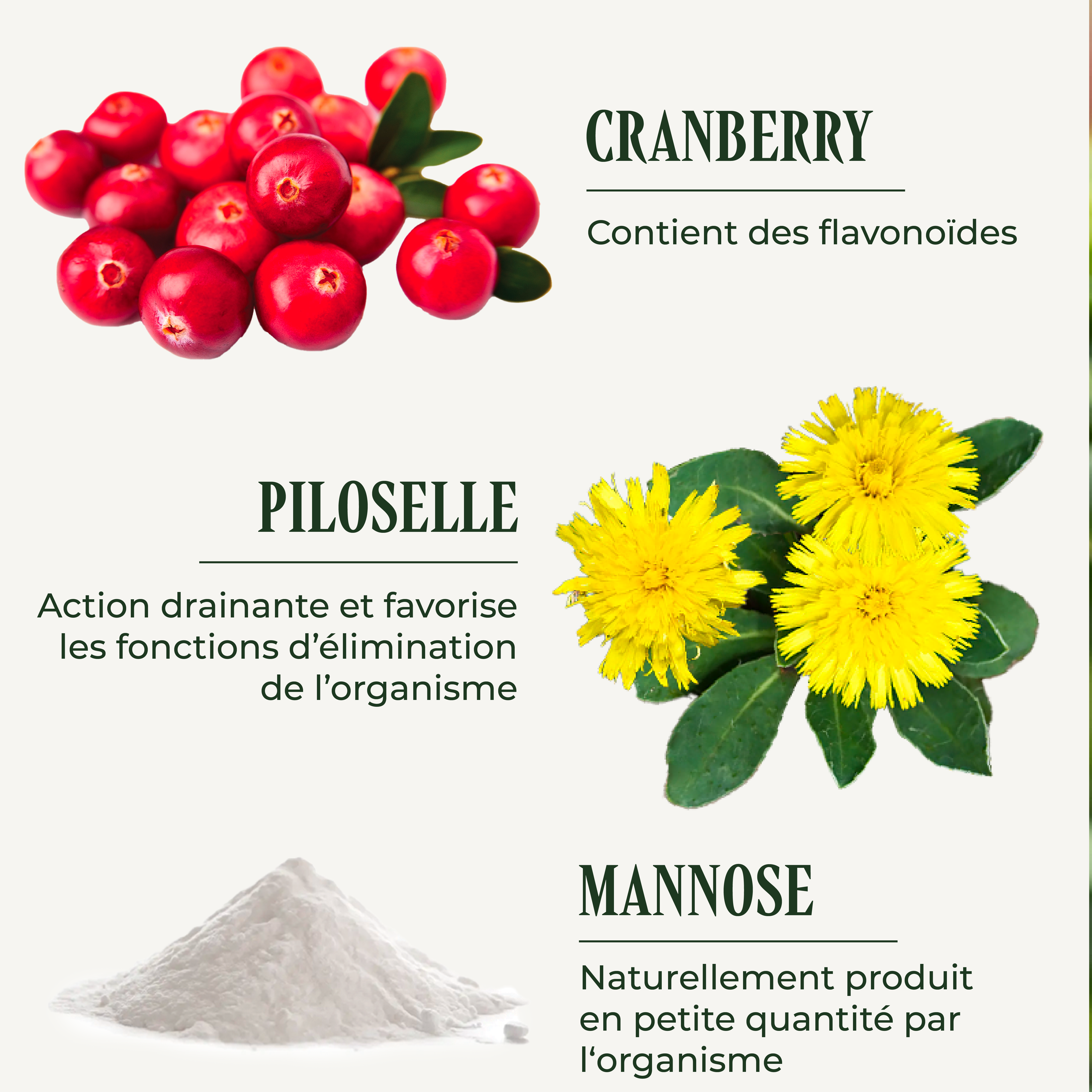 PSH1715 Uritraite ( Appareil urinaire )