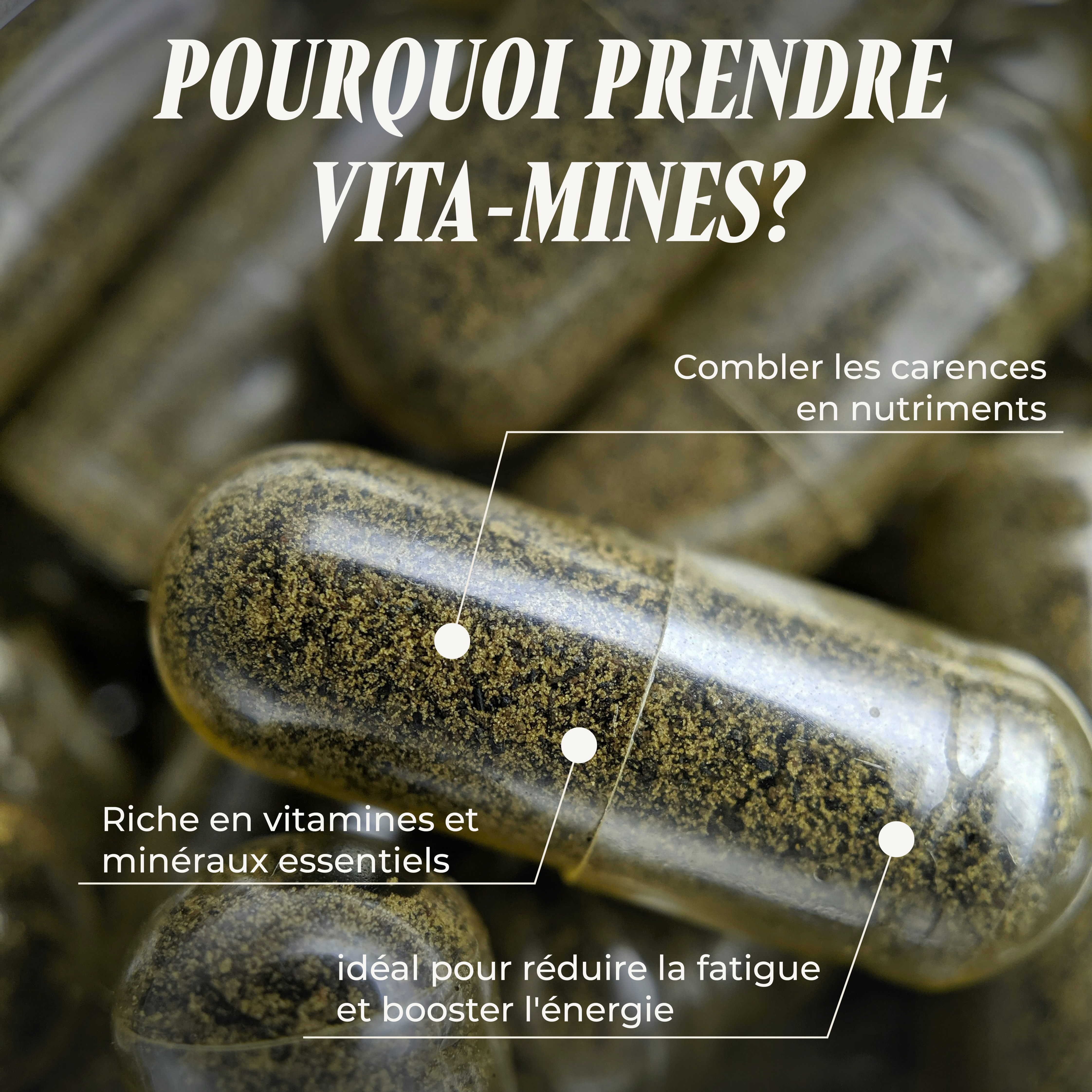 PSH1715 Vita-Mines ( Vitamines & minéraux )